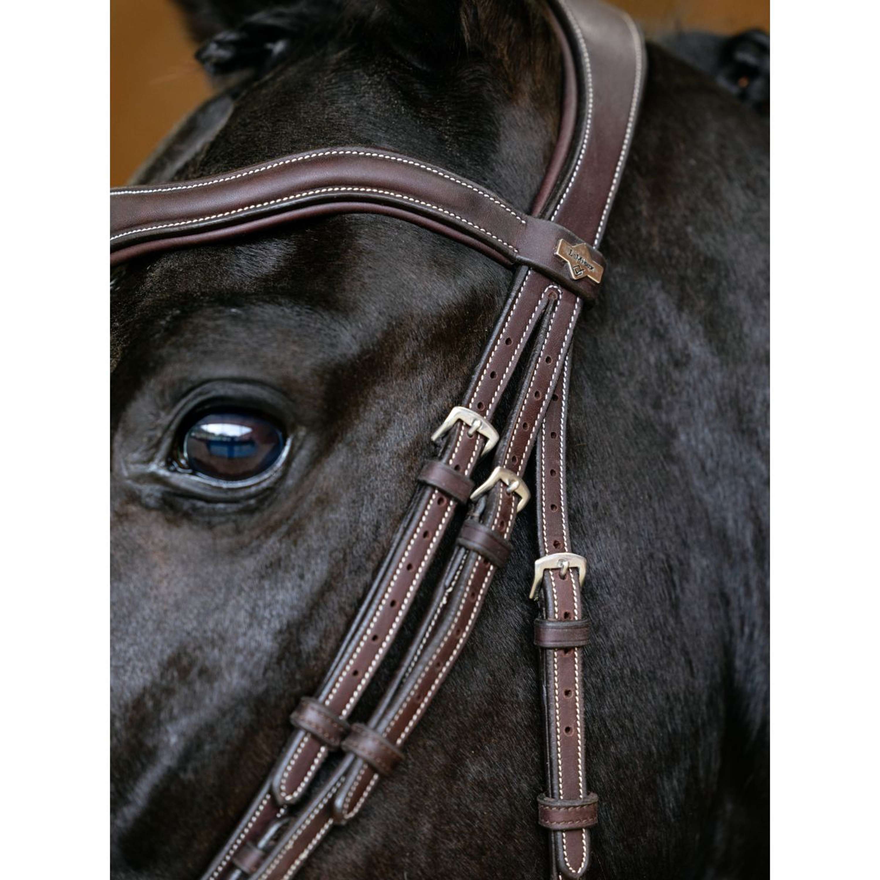 LeMieux Bridle Kudos Contour Flash Brown