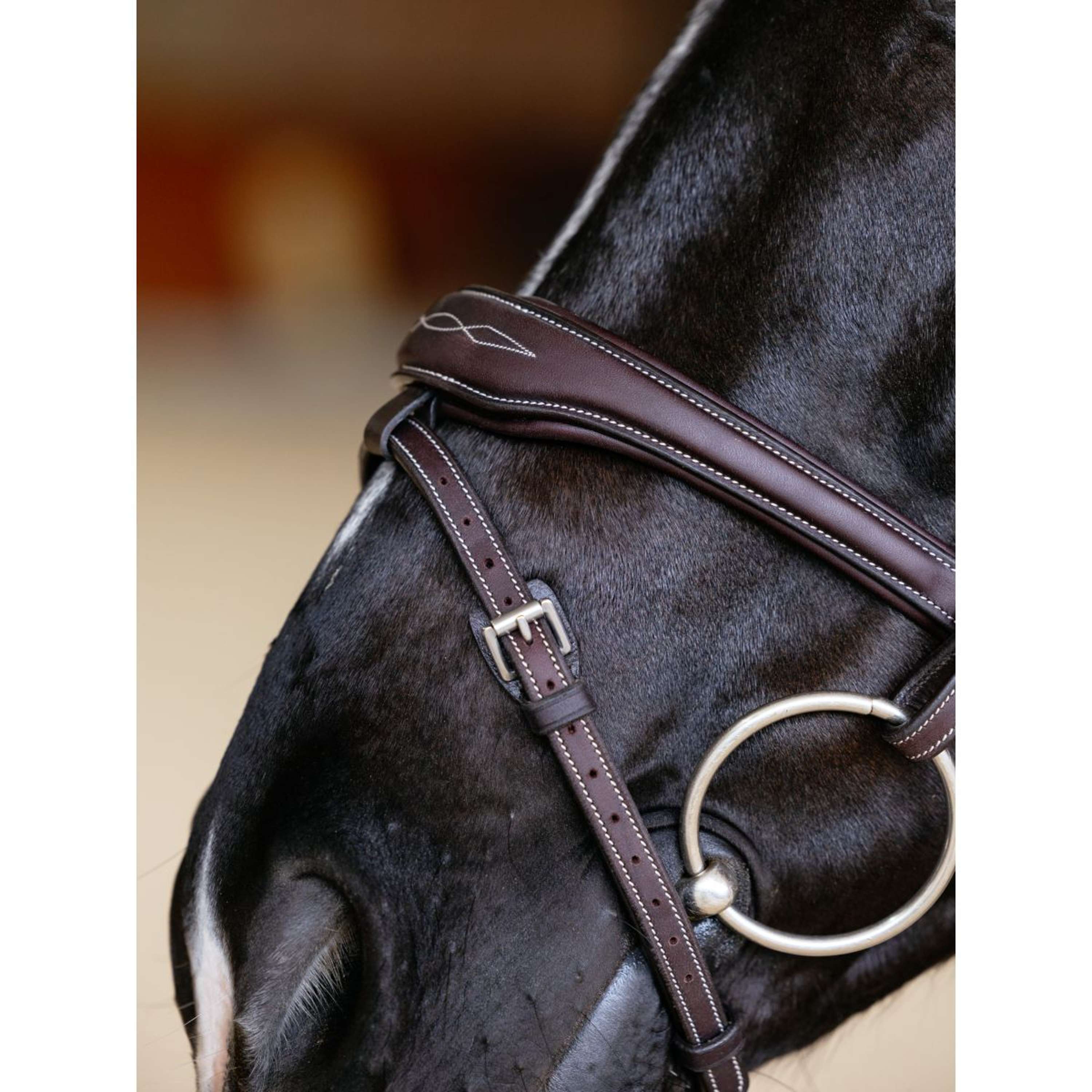 LeMieux Bridle Kudos Contour Flash Brown