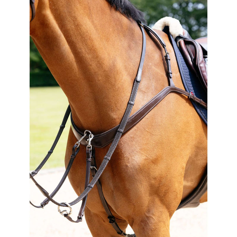 LeMieux Chest Buckle Kudos Bridge Havana