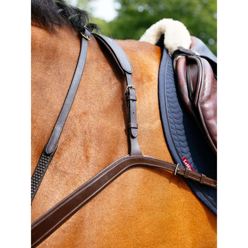 LeMieux Chest Buckle Kudos Bridge Havana