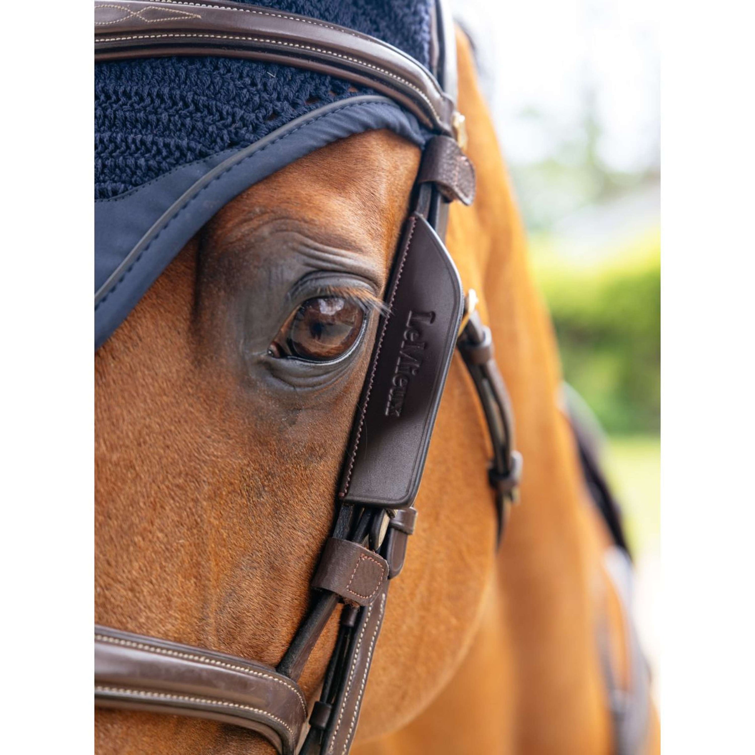 LeMieux Blinker Leather Havana LeMieux Blinker Leather Havana