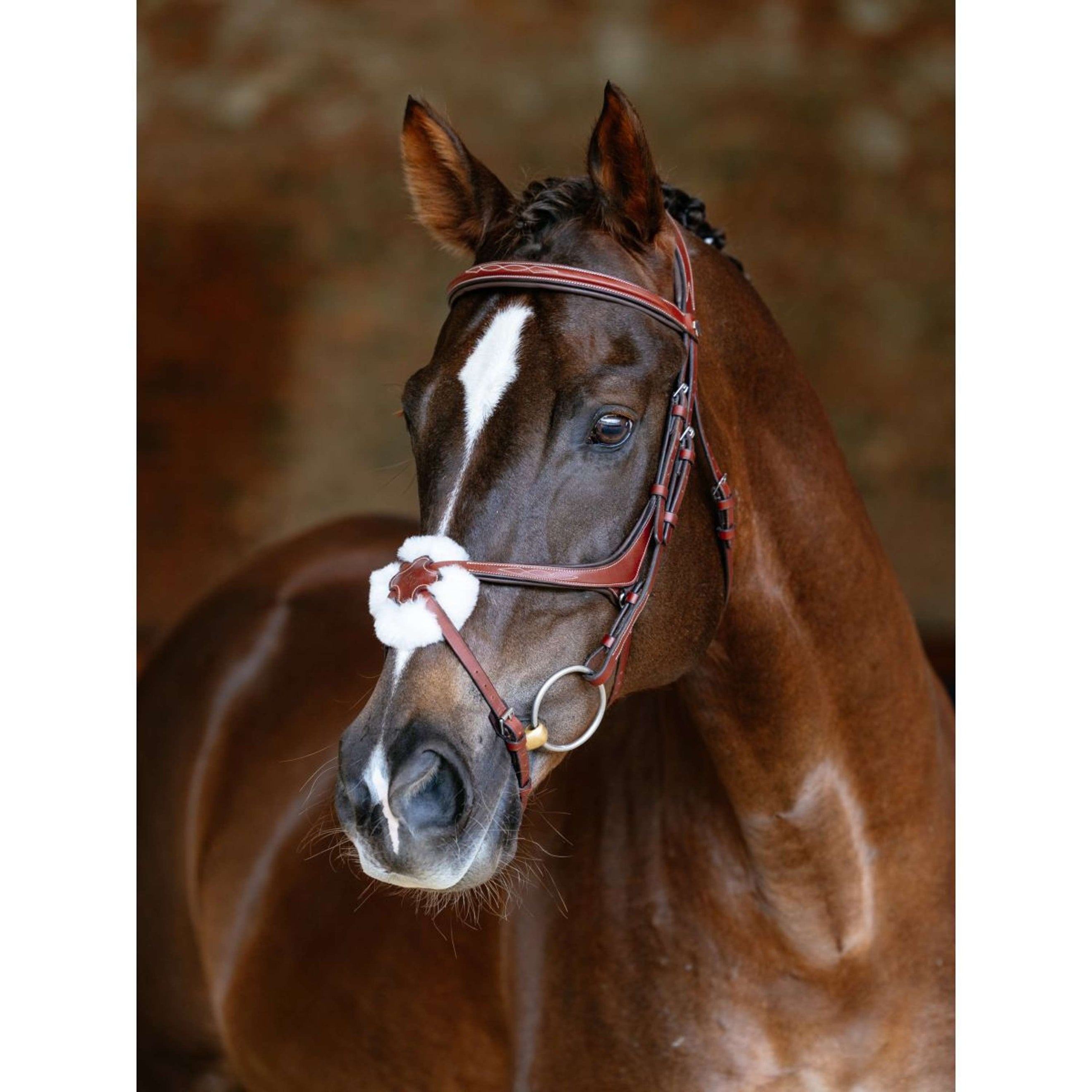 LeMieux Bridle Kudos Grackle Chestnut