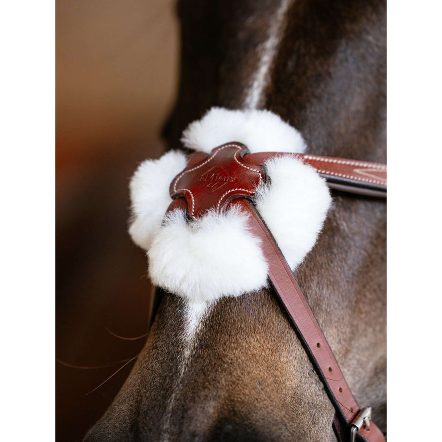 LeMieux Bridle Kudos Grackle Chestnut