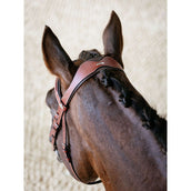 LeMieux Bridle Kudos Grackle Chestnut