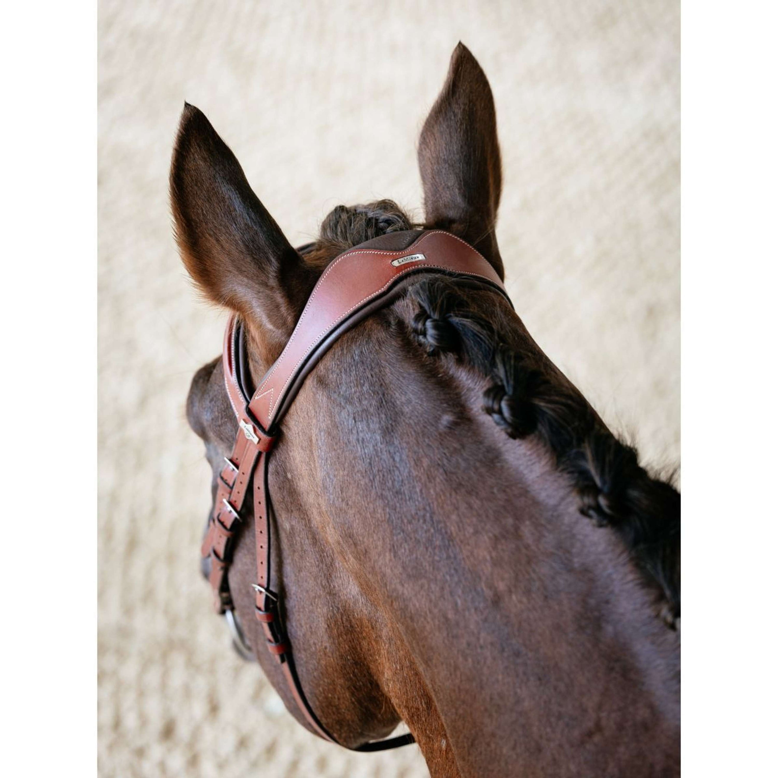 LeMieux Bridle Kudos Grackle Chestnut