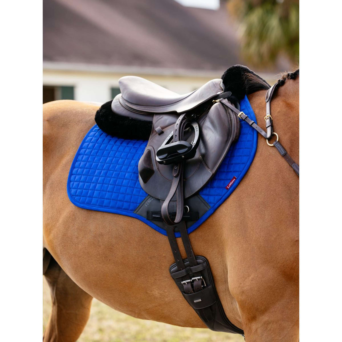 LeMieux Saddlepad Suede Square Close Contact Benetton