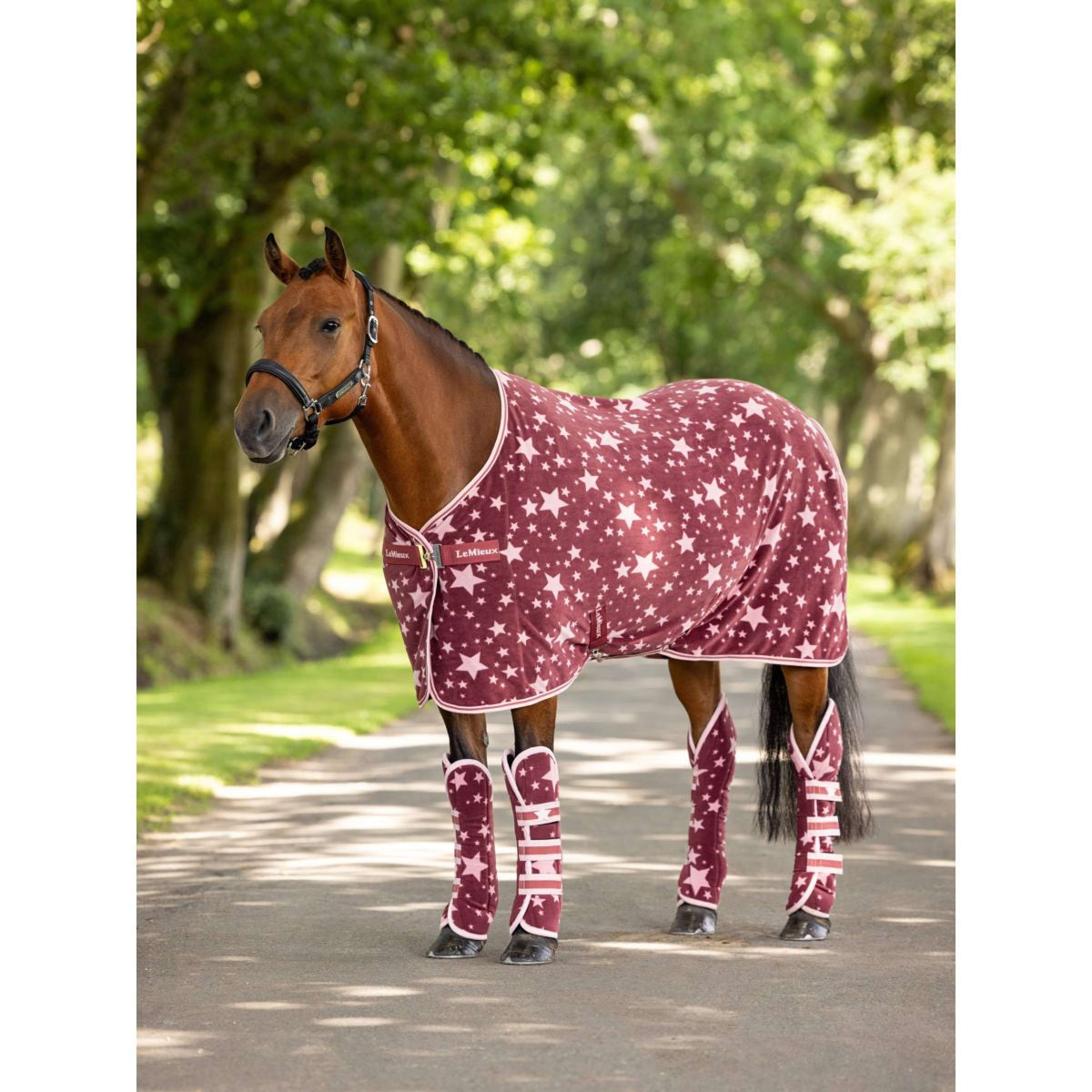 LeMieux Transport Protectors Pony Travel Fleece Orchid