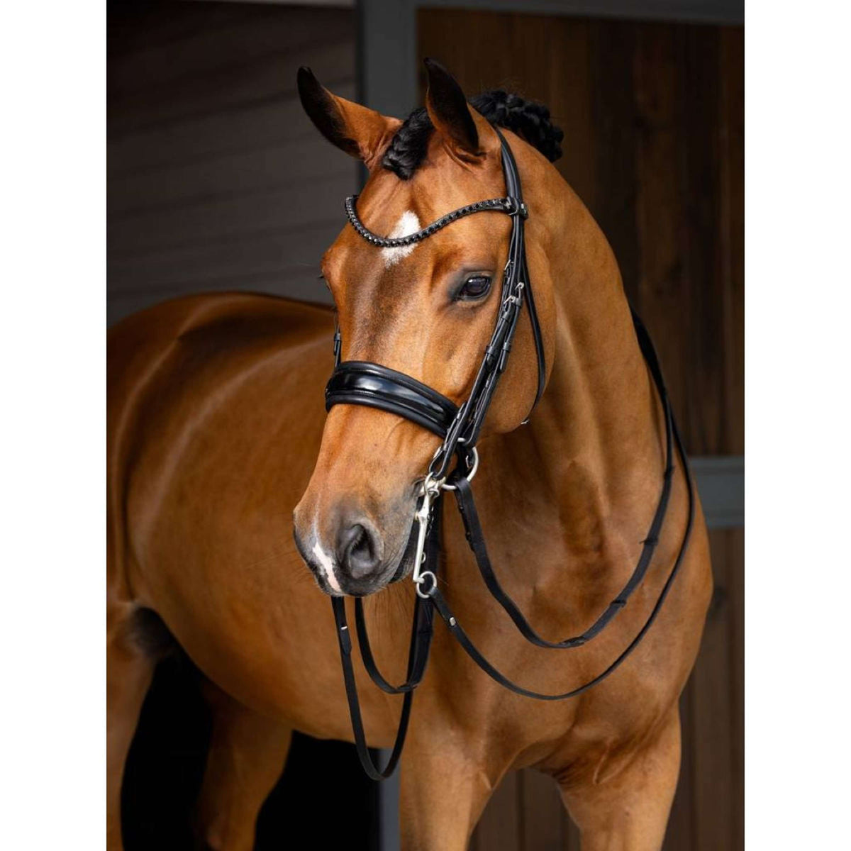 LeMieux Double Bridle Kudos Black