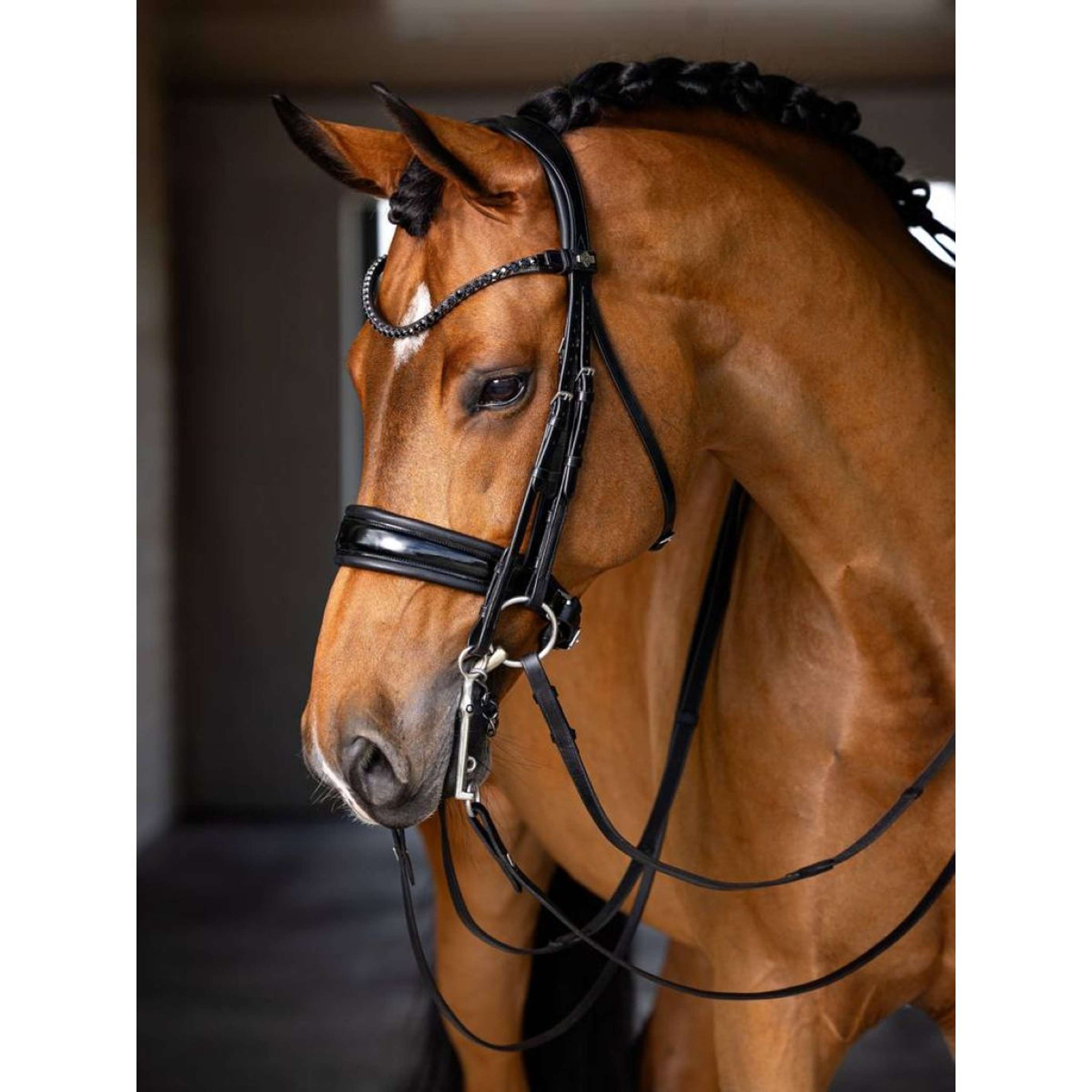 LeMieux Double Bridle Kudos Black