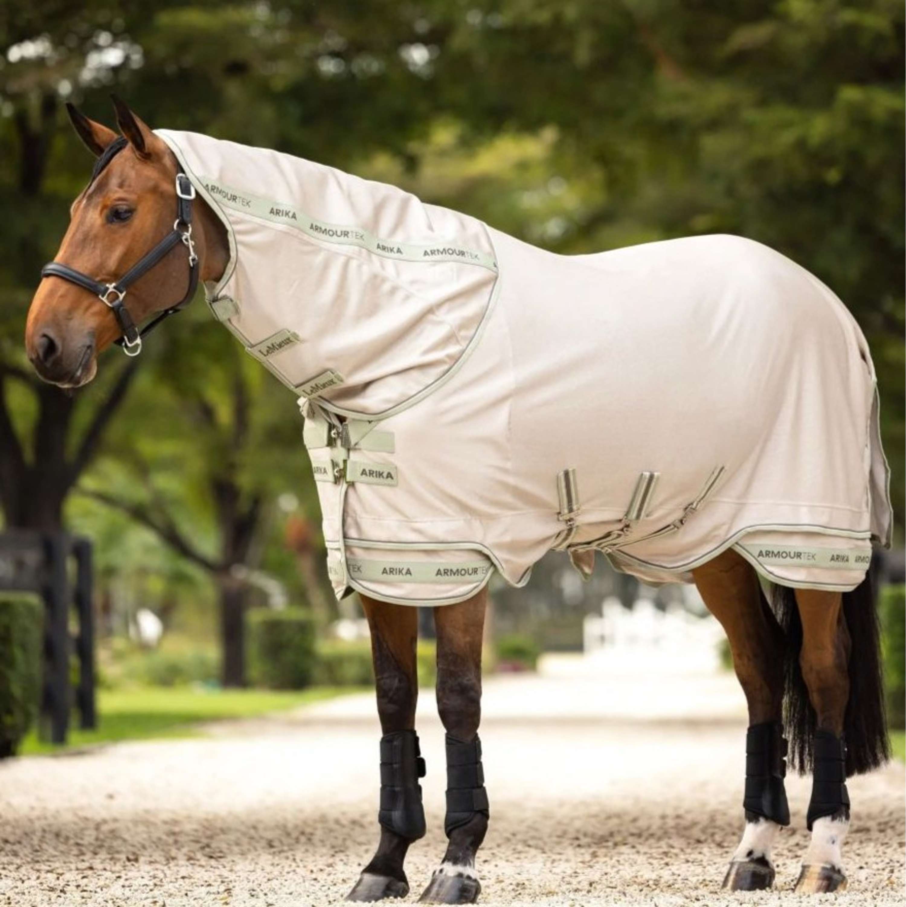 LeMieux Fly Rug Arika Armour-Tek SS25 Stone/Fern