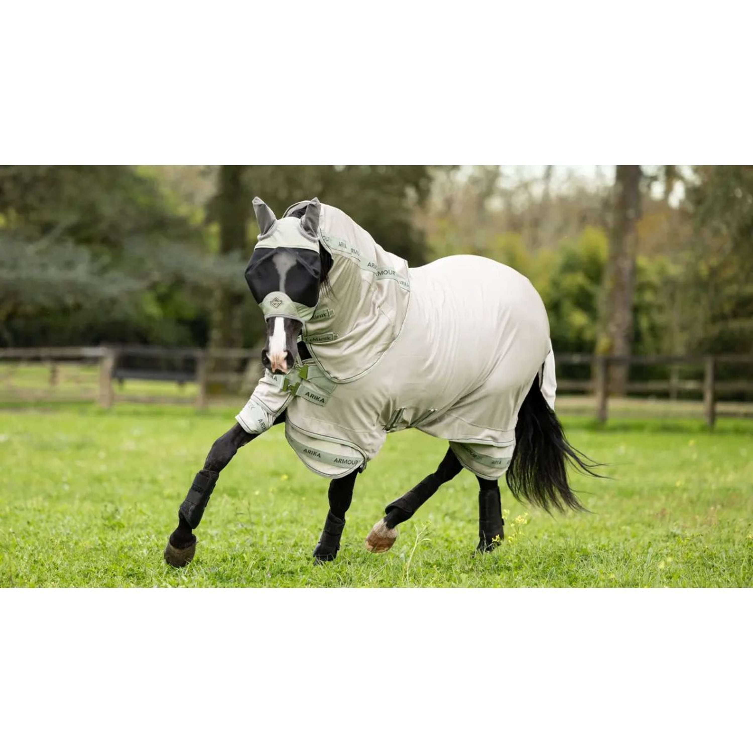 LeMieux Fly Rug Arika Armour-Tek SS25 Stone/Fern