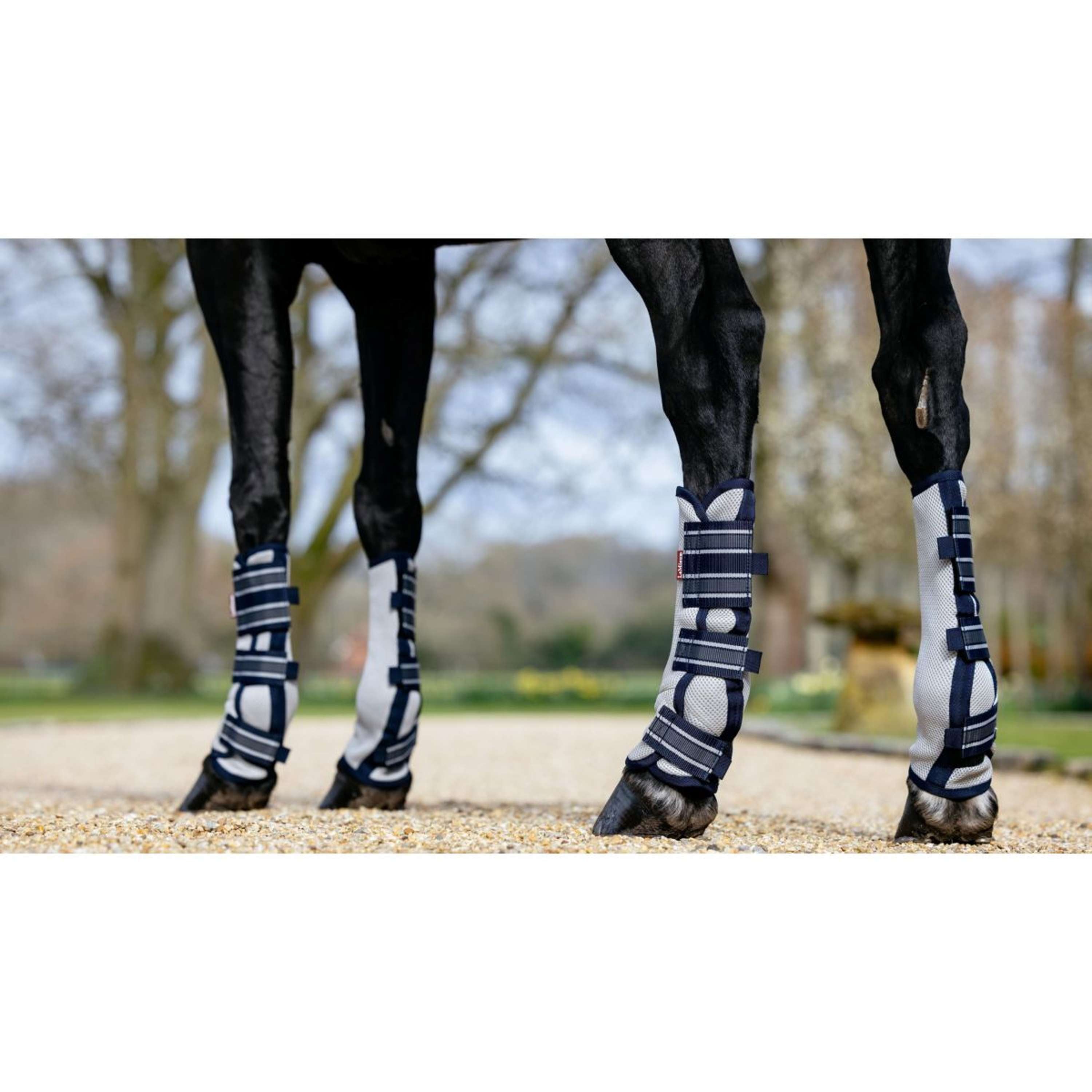 LeMieux Fly protectors Mesh Arika Navy