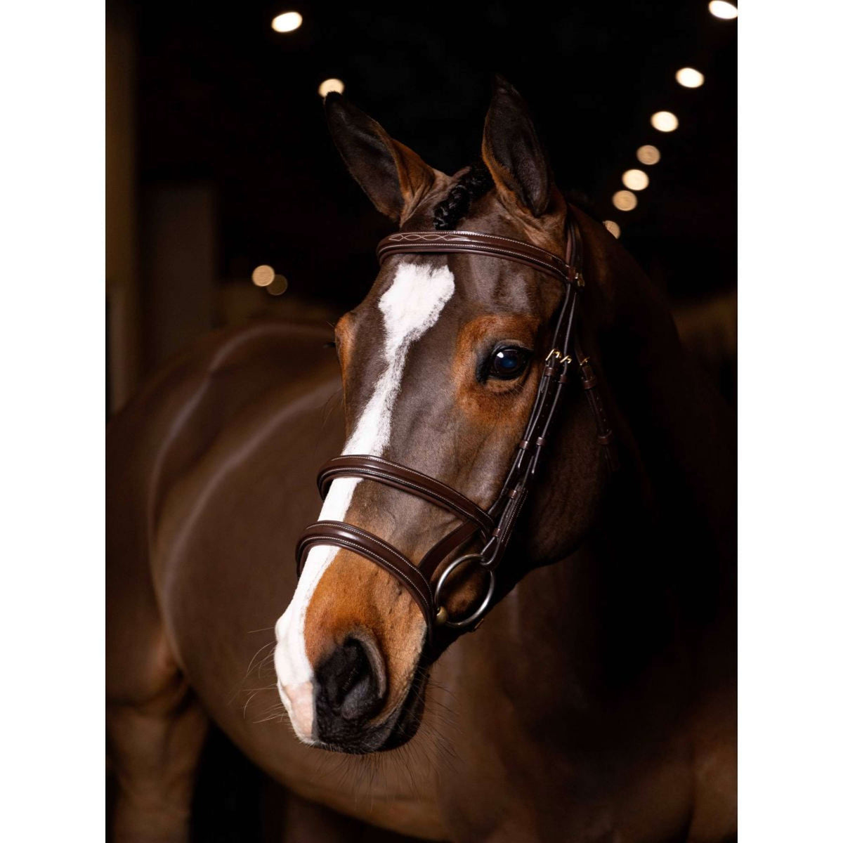 LeMieux Bridle Kudos Double Noseband Havana/Brass