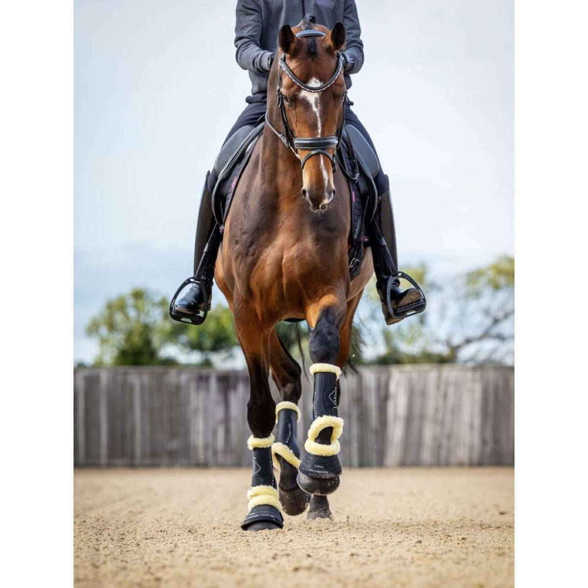 LeMieux Tendon Boots Motionflex Black