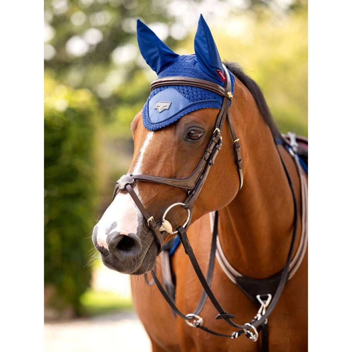 LeMieux Ear Bonnet Loire Benetton Blue