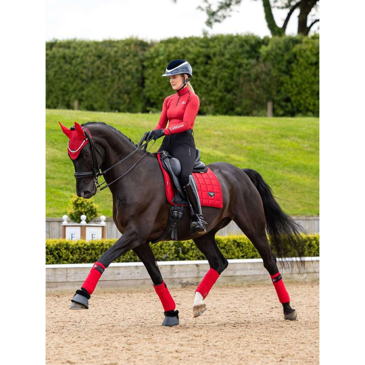 LeMieux Saddlepad Loire Dressage Chilli