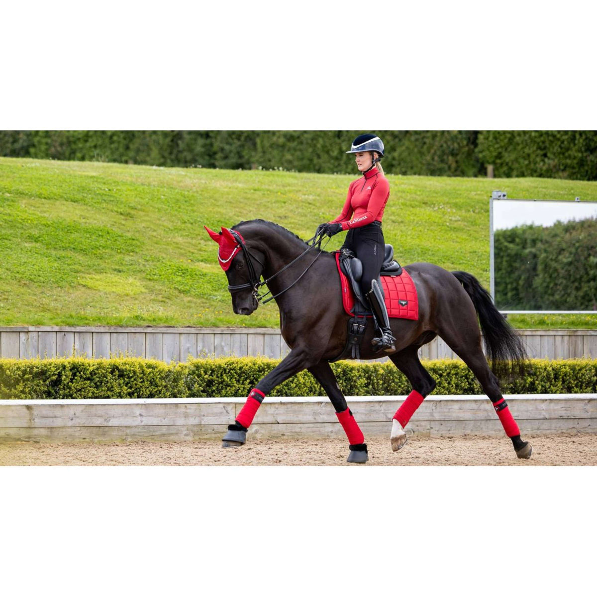 LeMieux Saddlepad Loire Dressage Chilli