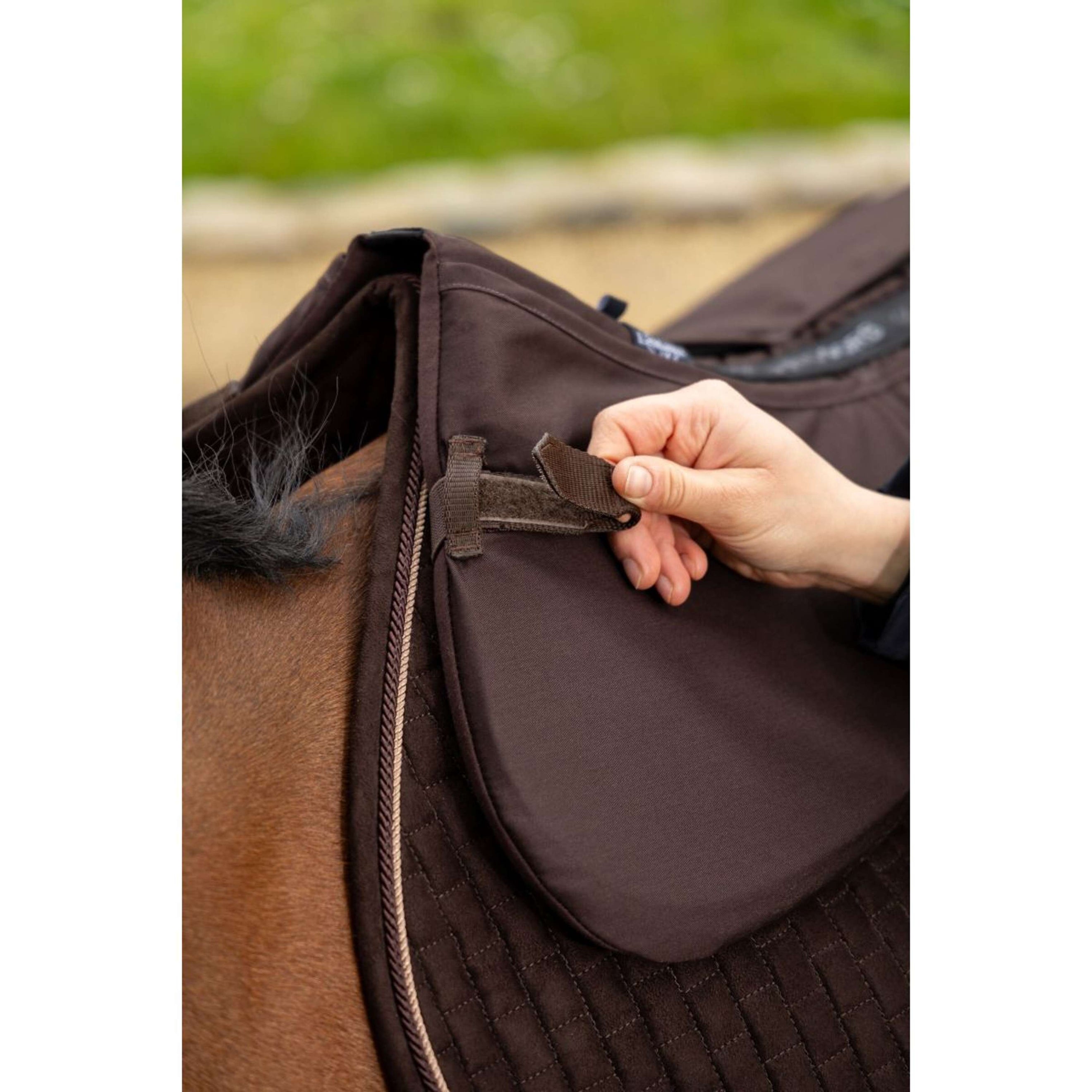 LeMieux Half Pad Pro-Sorb Plain Brown