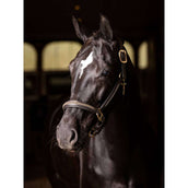 LeMieux Leather Halter Crystal Brown