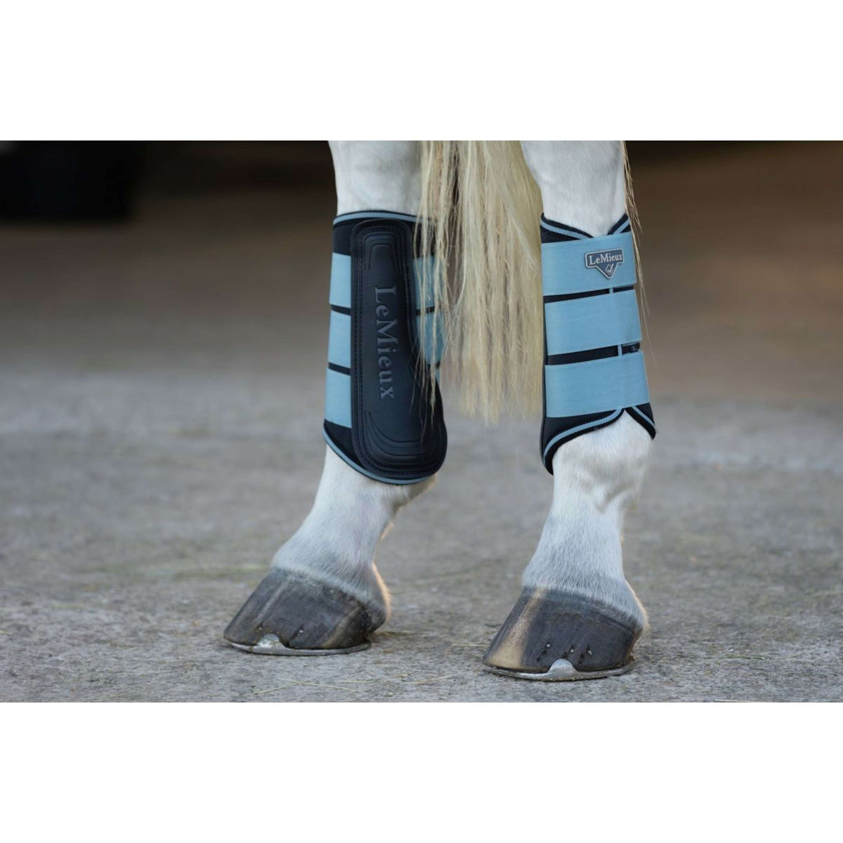 LeMieux Leg Protectors Grafter Glacier