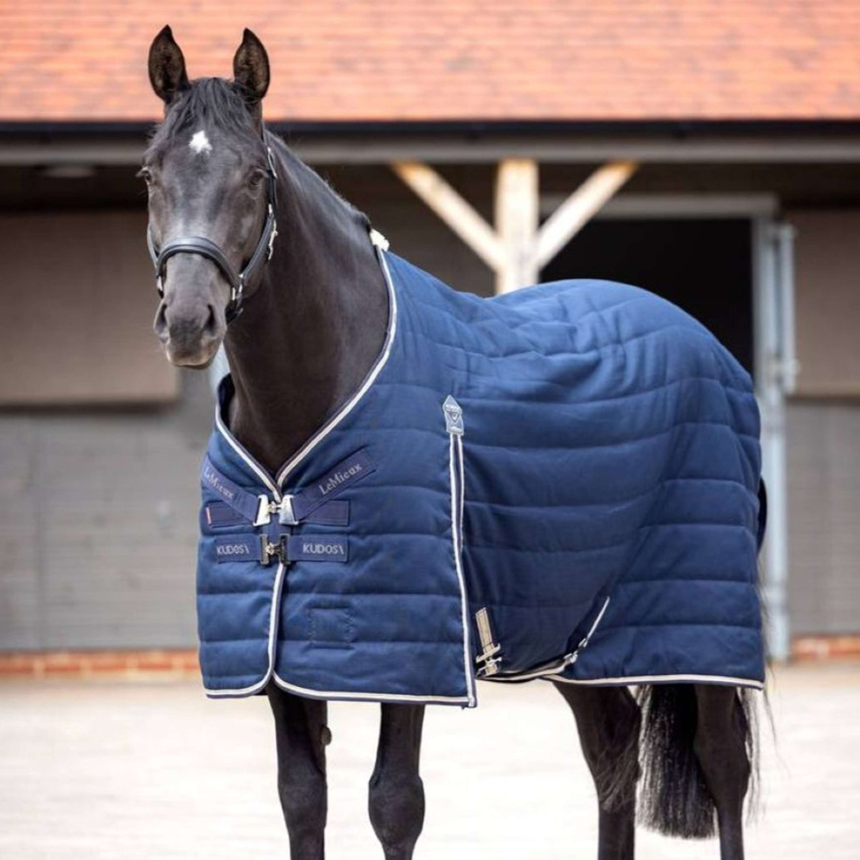 LeMieux Rug Kudos Stable 200g Navy