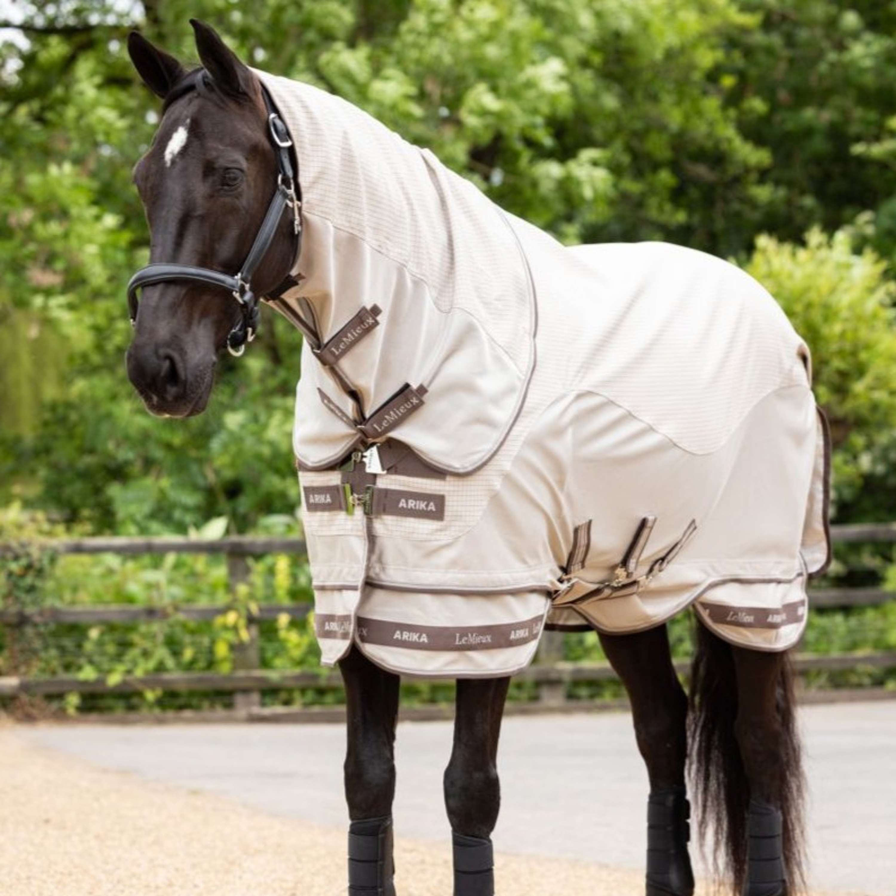 LeMieux Summer Rug Arika Sunstopper Stone