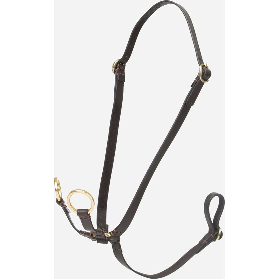 LeMieux Hobby Horse Running Martingale Brown