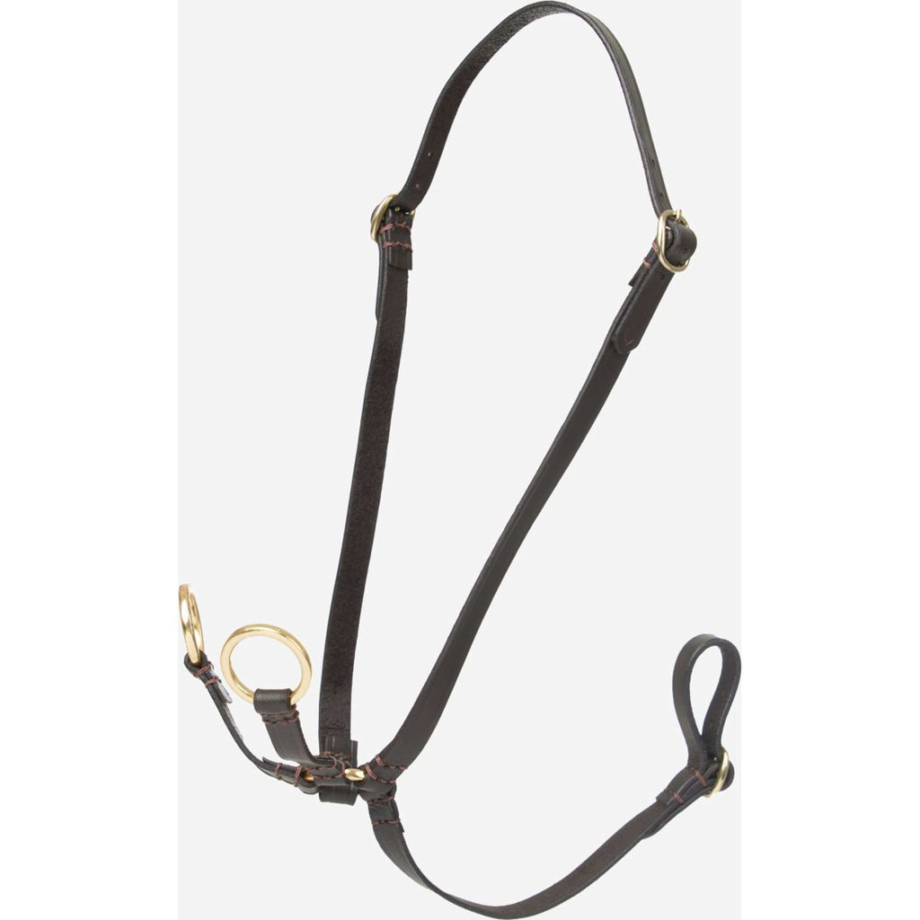 LeMieux Hobby Horse Running Martingale Brown