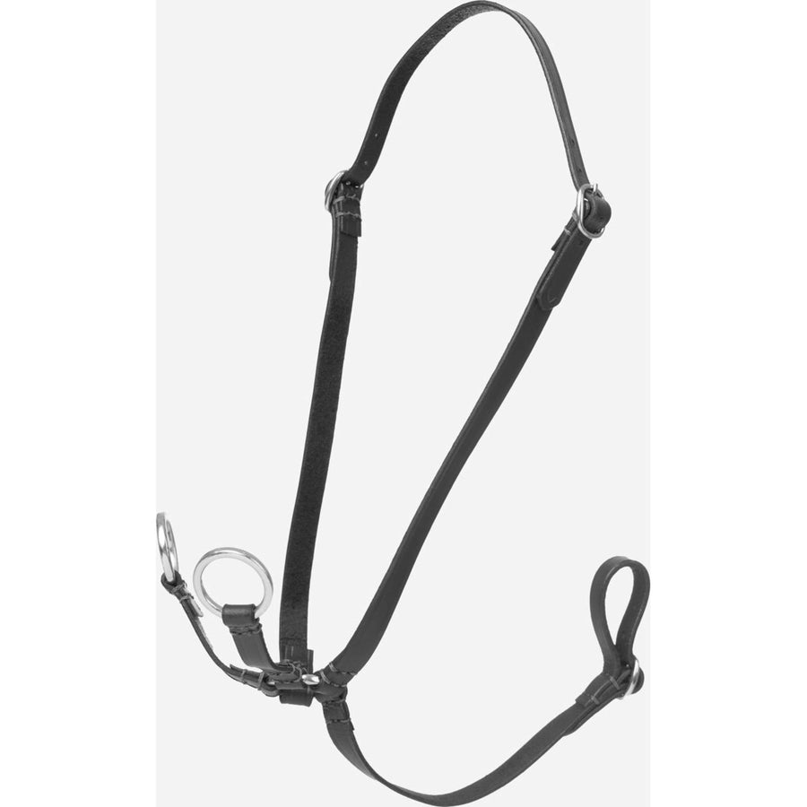 LeMieux Hobby Horse Running Martingale Black