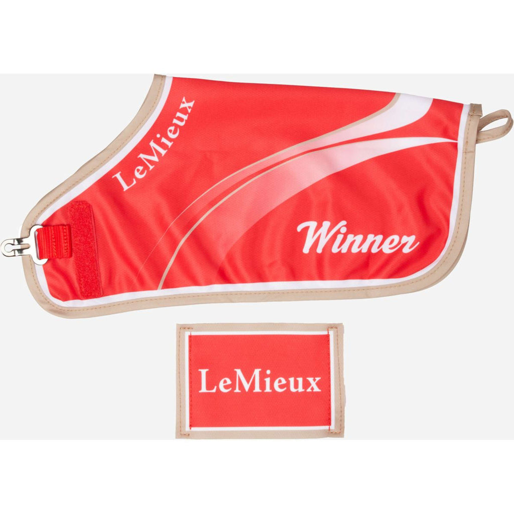 LeMieux Toy Pony Champions Rug Red
