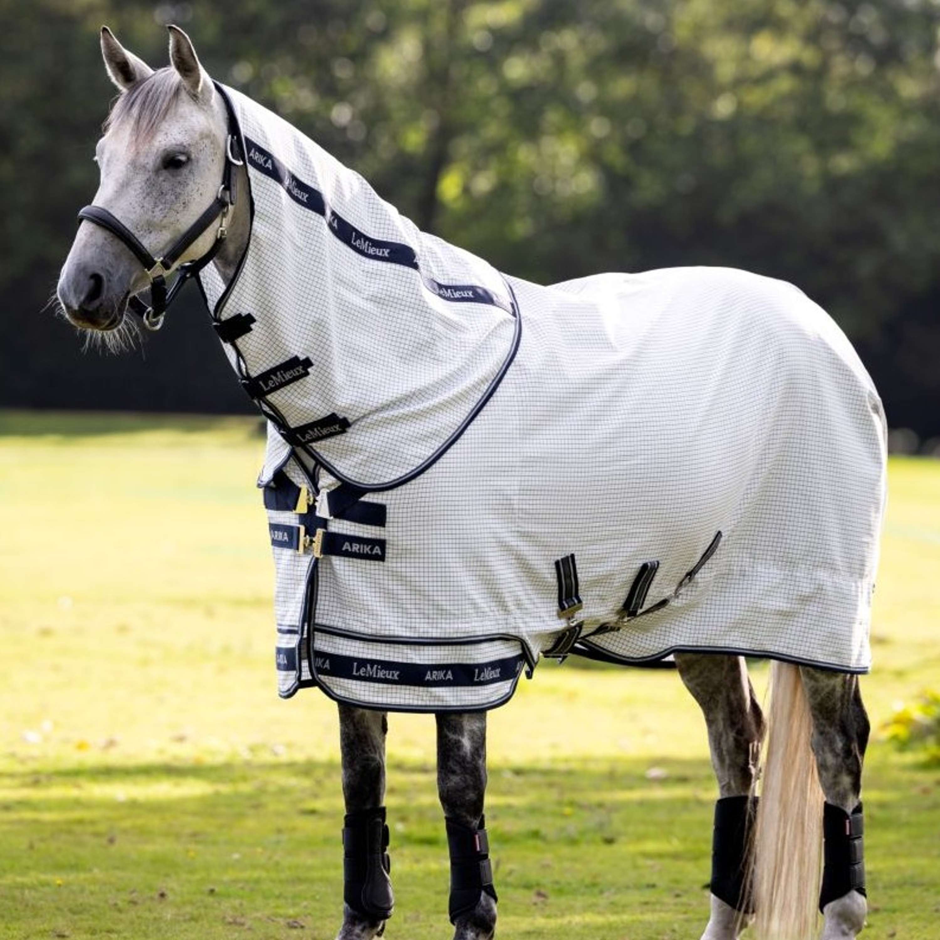 LeMieux Summer Rug Arika Field White