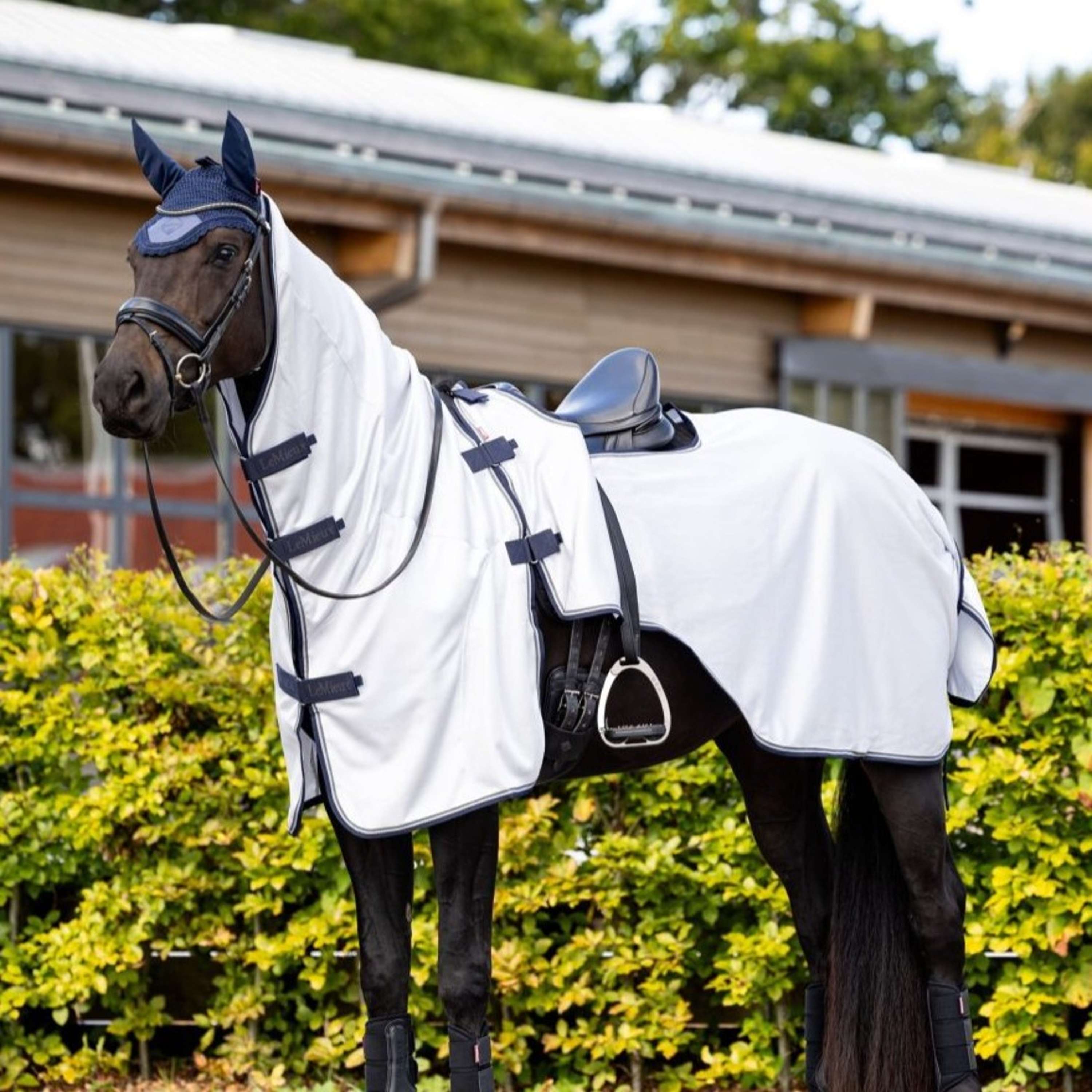 LeMieux Anti-fly Riding Rug Grey