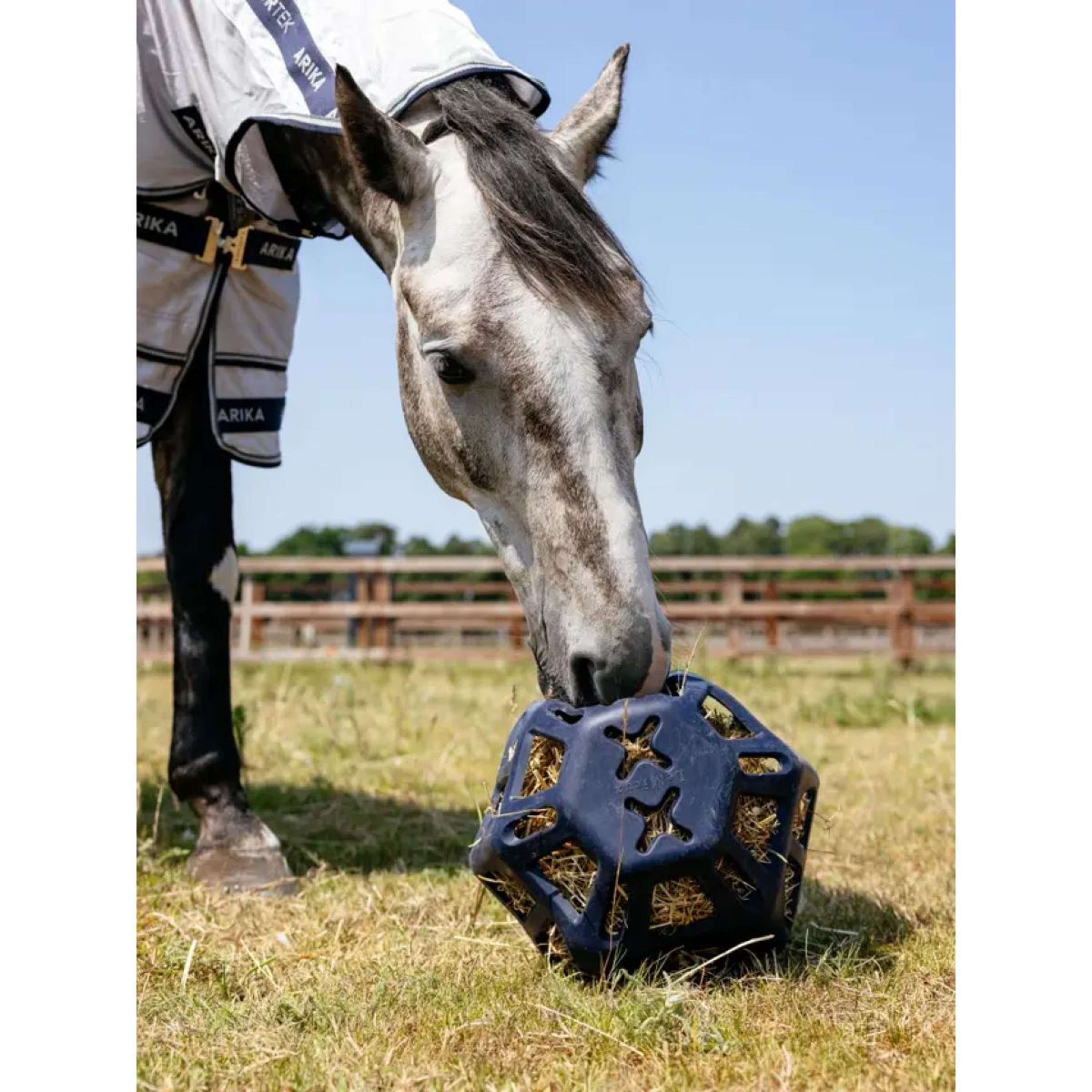 LeMieux playball Hay Navy