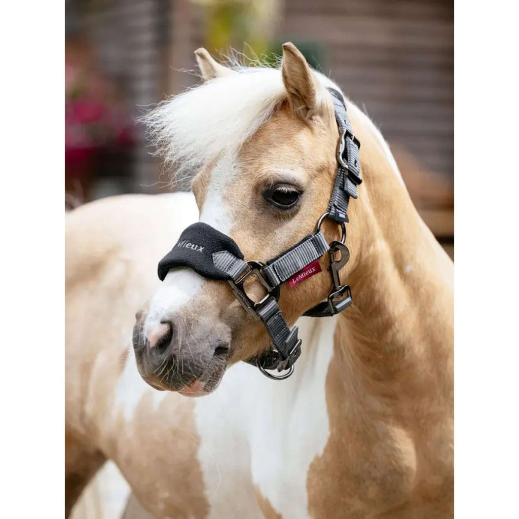 LeMieux Head Collar Set Mini Vogue Black