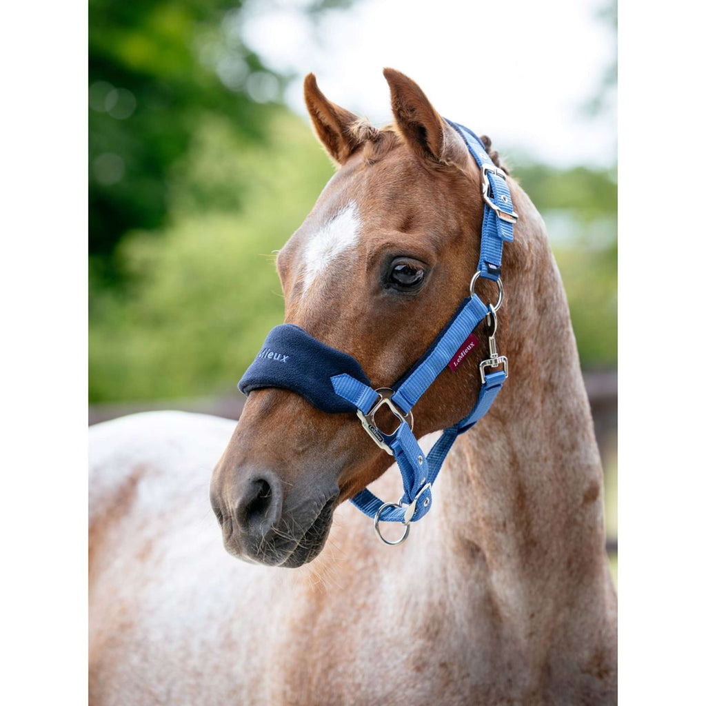 LeMieux Head Collar Set Mini Vogue Benetton