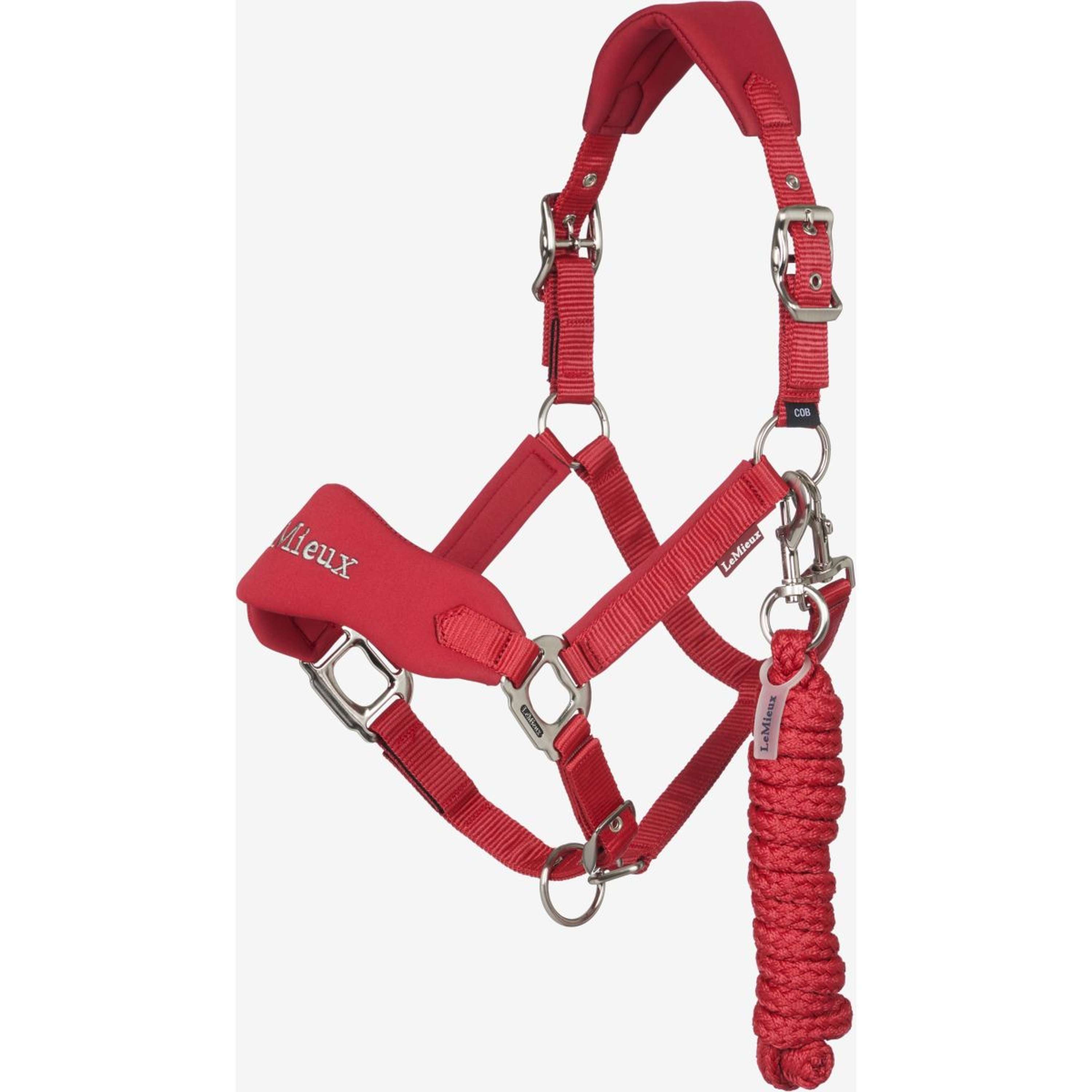 LeMieux Head Collar Set Breakaway Vogue Chilli