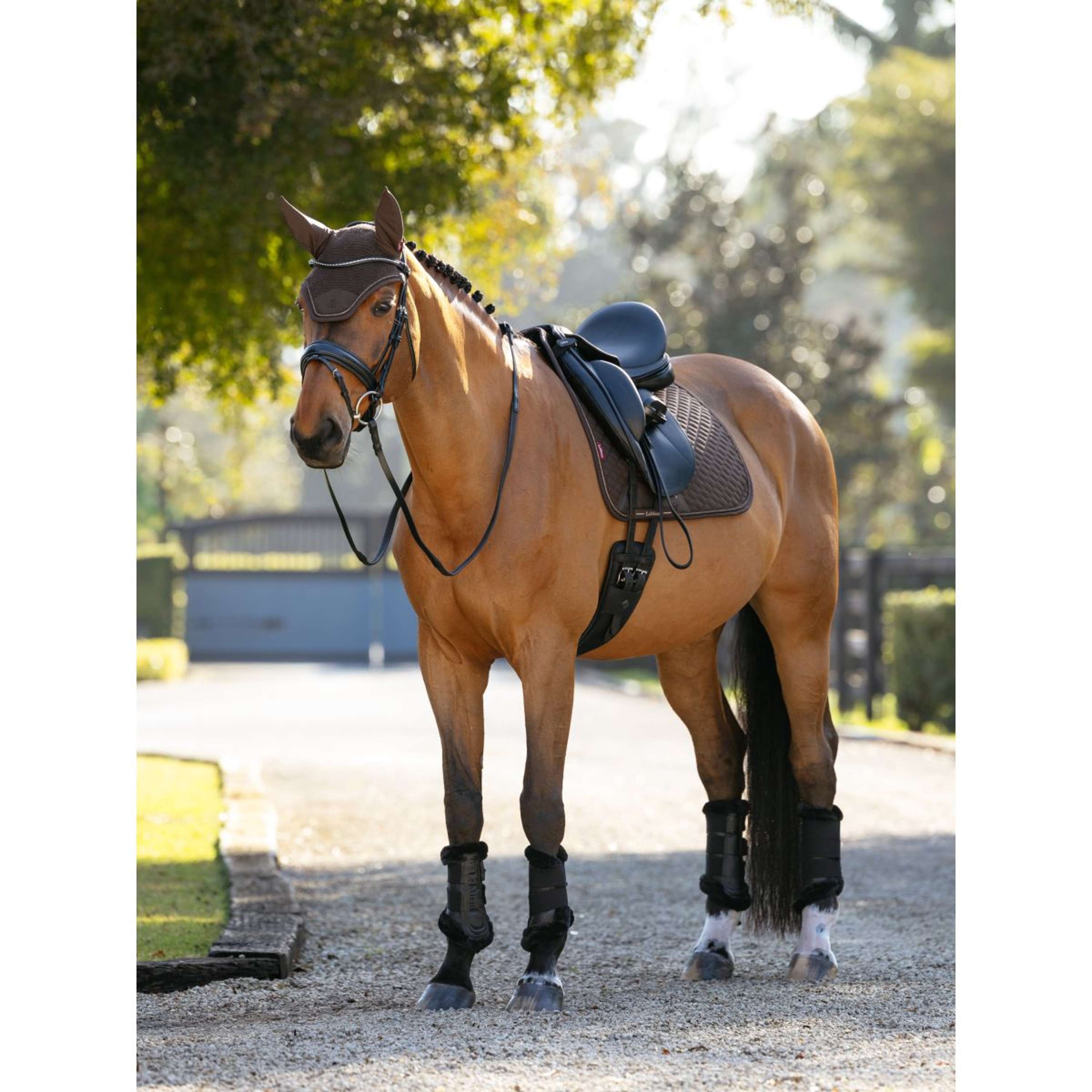 LeMieux Saddlepad Brilliance Dressage Espresso