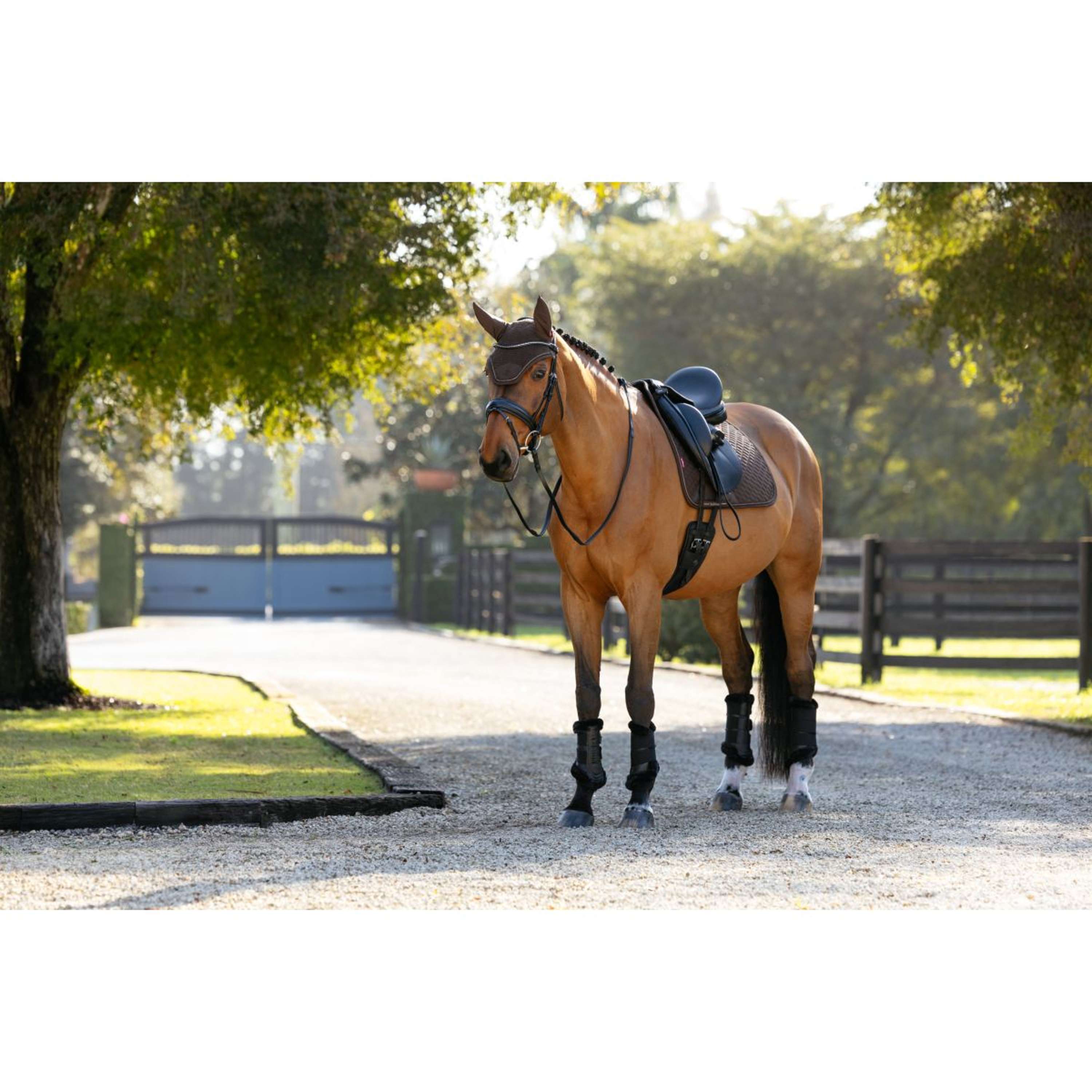 LeMieux Saddlepad Brilliance Dressage Espresso