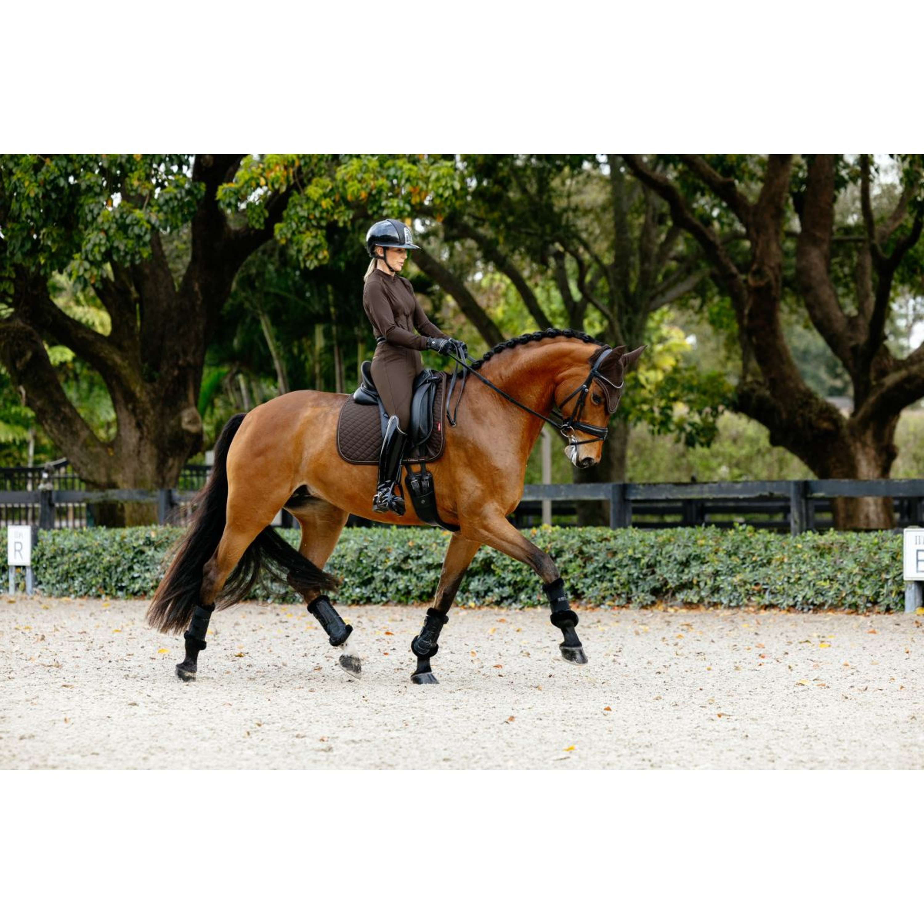 LeMieux Saddlepad Brilliance Dressage Espresso