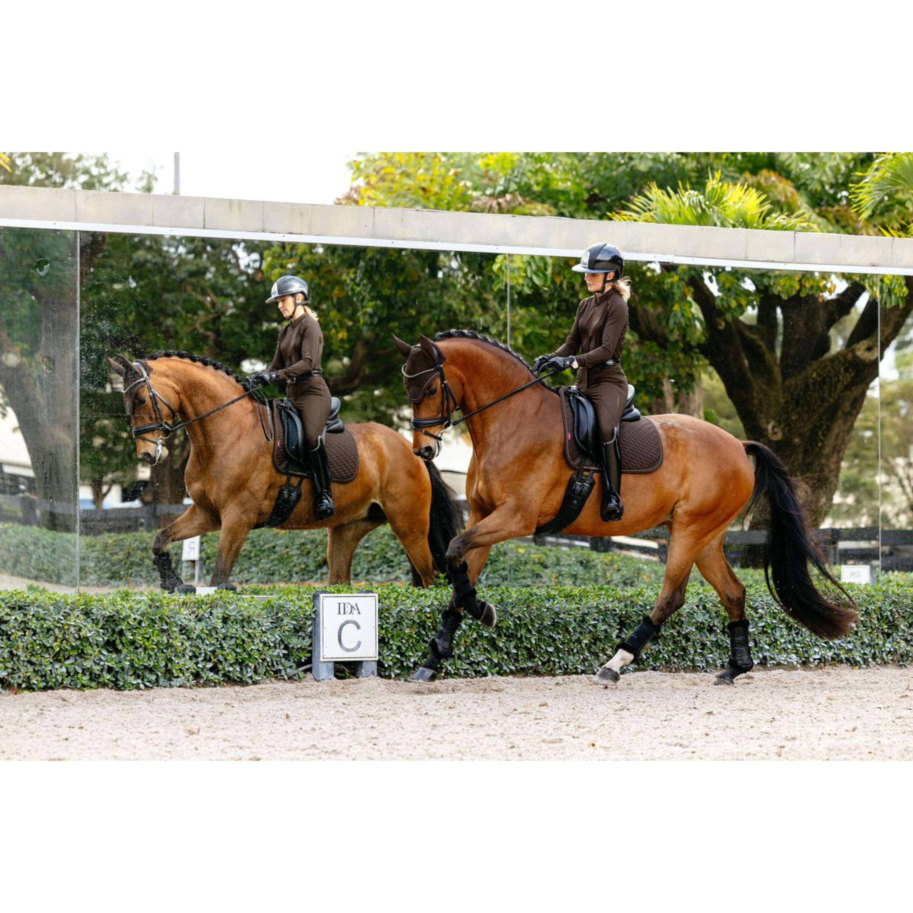 LeMieux Saddlepad Brilliance Dressage Espresso