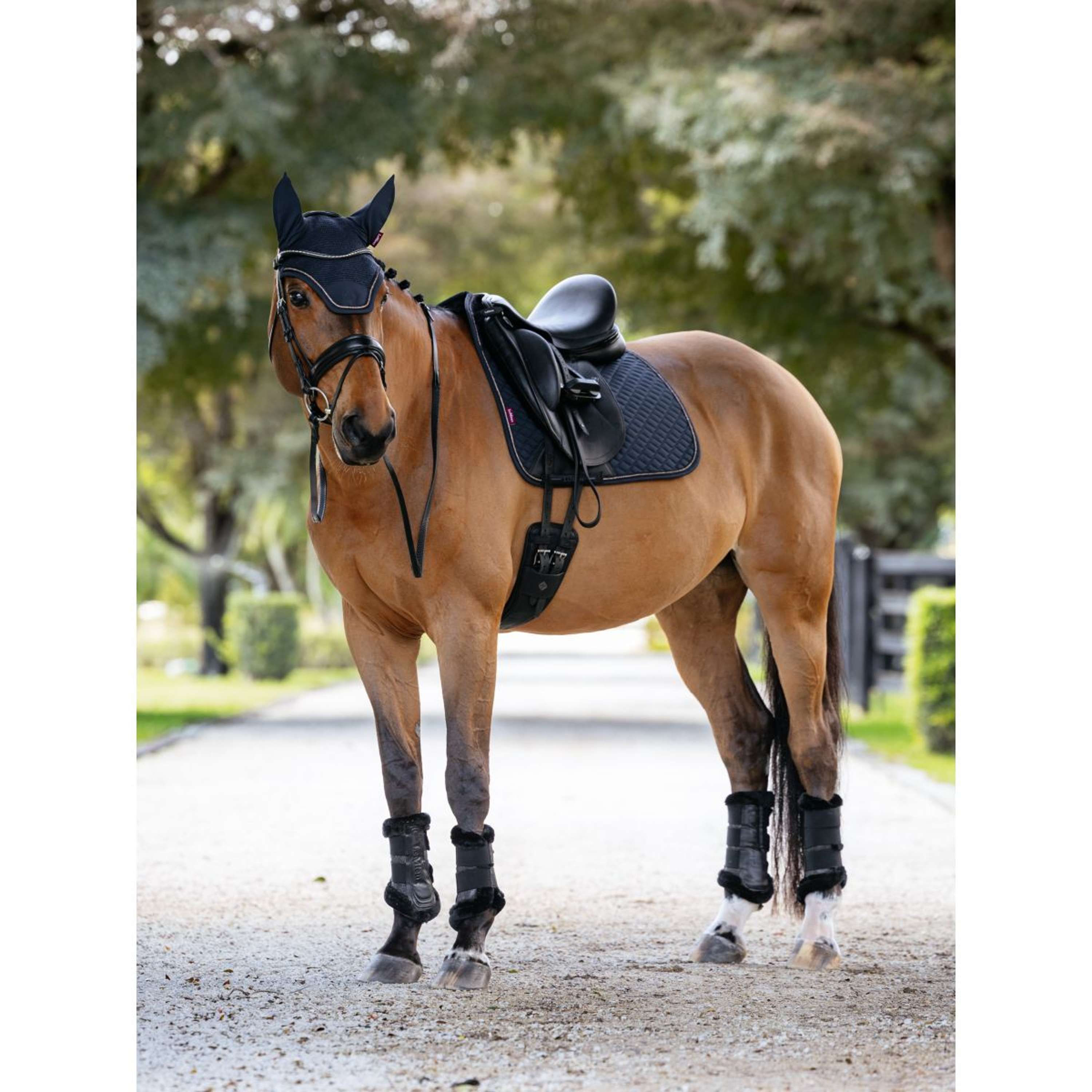 LeMieux Saddlepad Brilliance Dressage Navy
