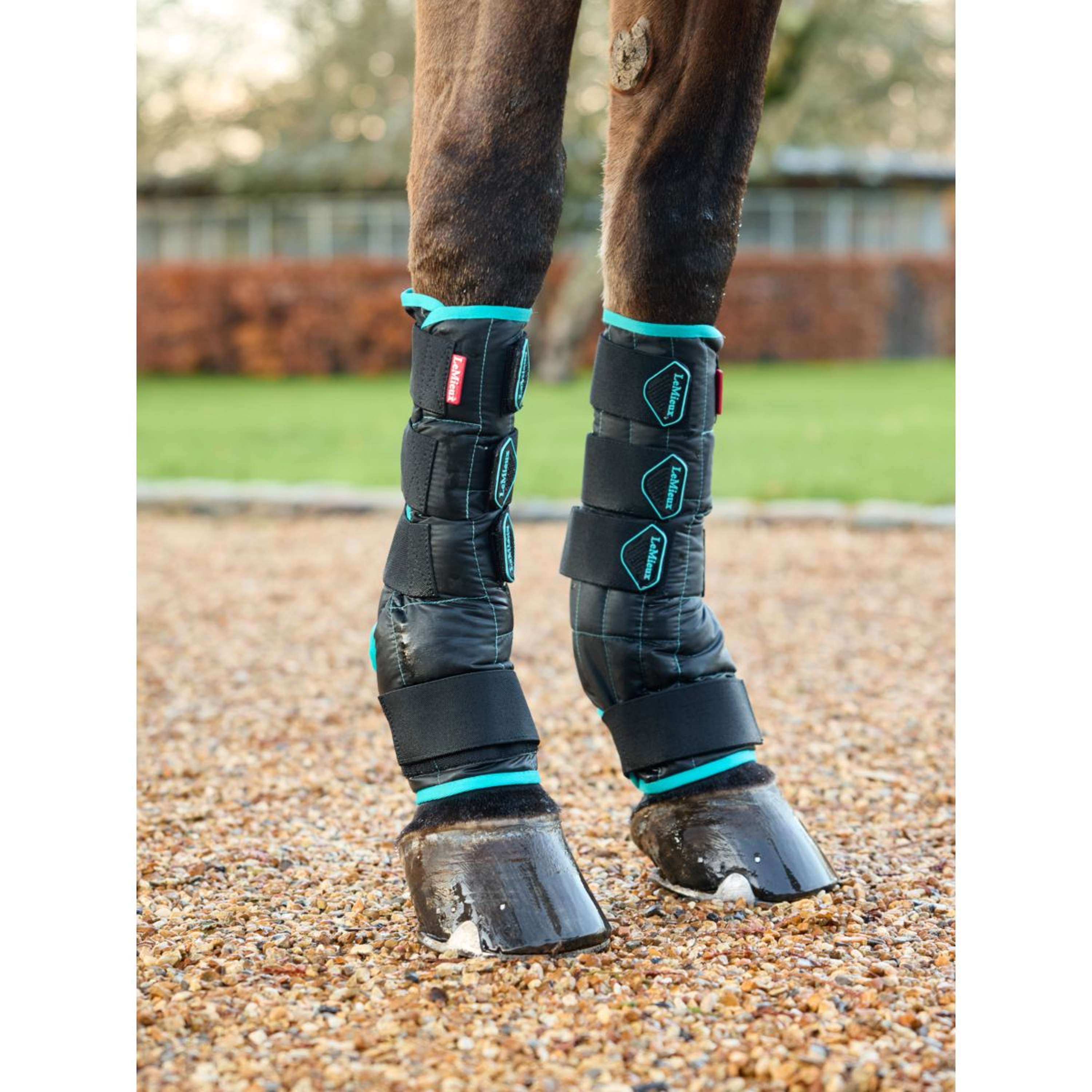 LeMieux Leg Protectors Cooling Crystal Black