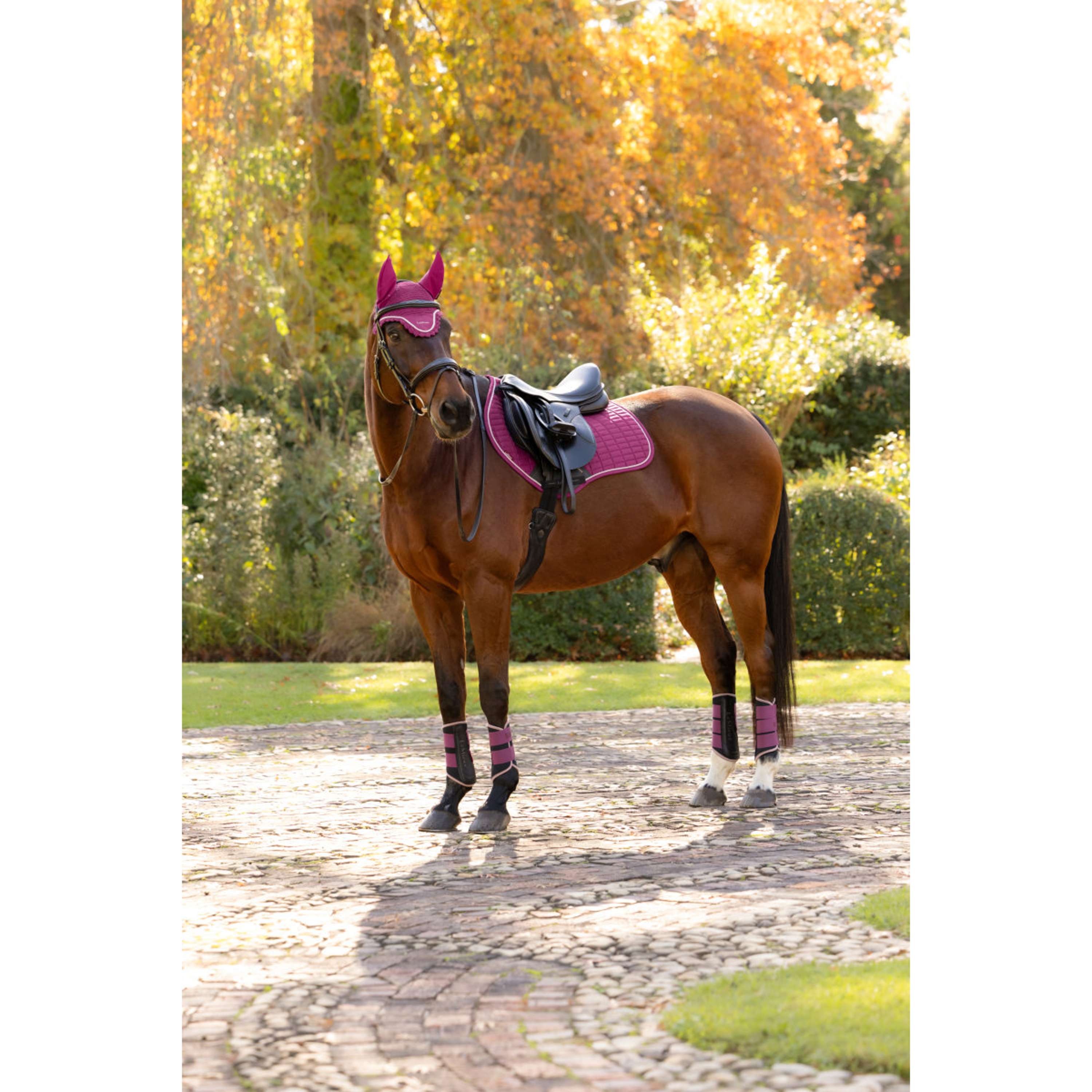 LeMieux Saddlepad Suede Close Contact Square Jumping Blackberry