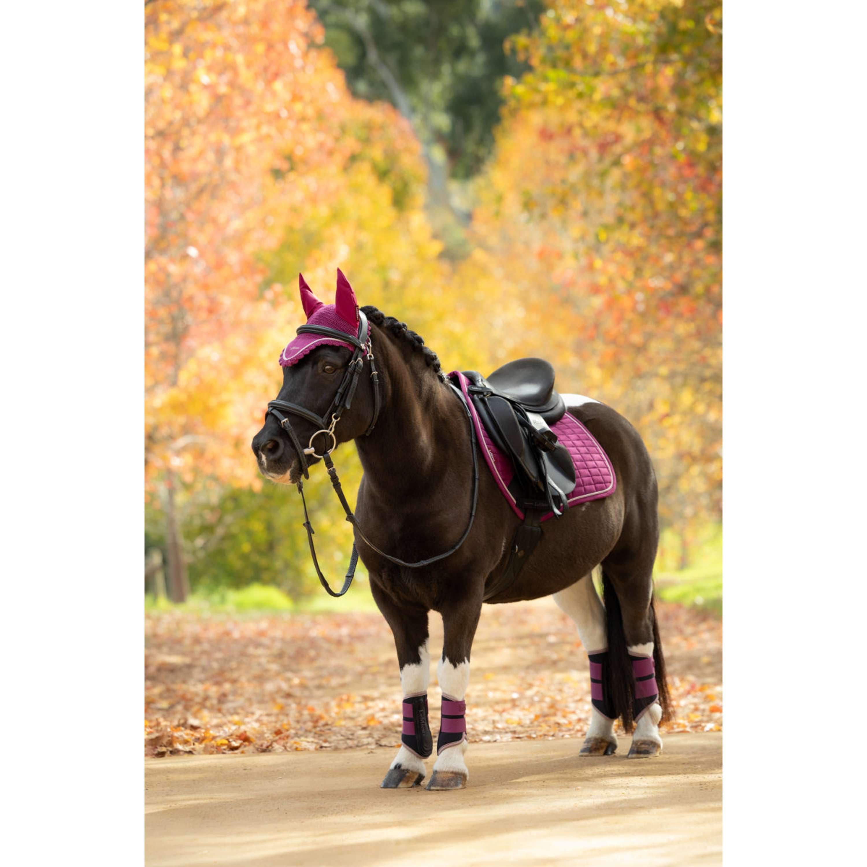 LeMieux Saddlepad Suede Close Contact Square Jumping Blackberry