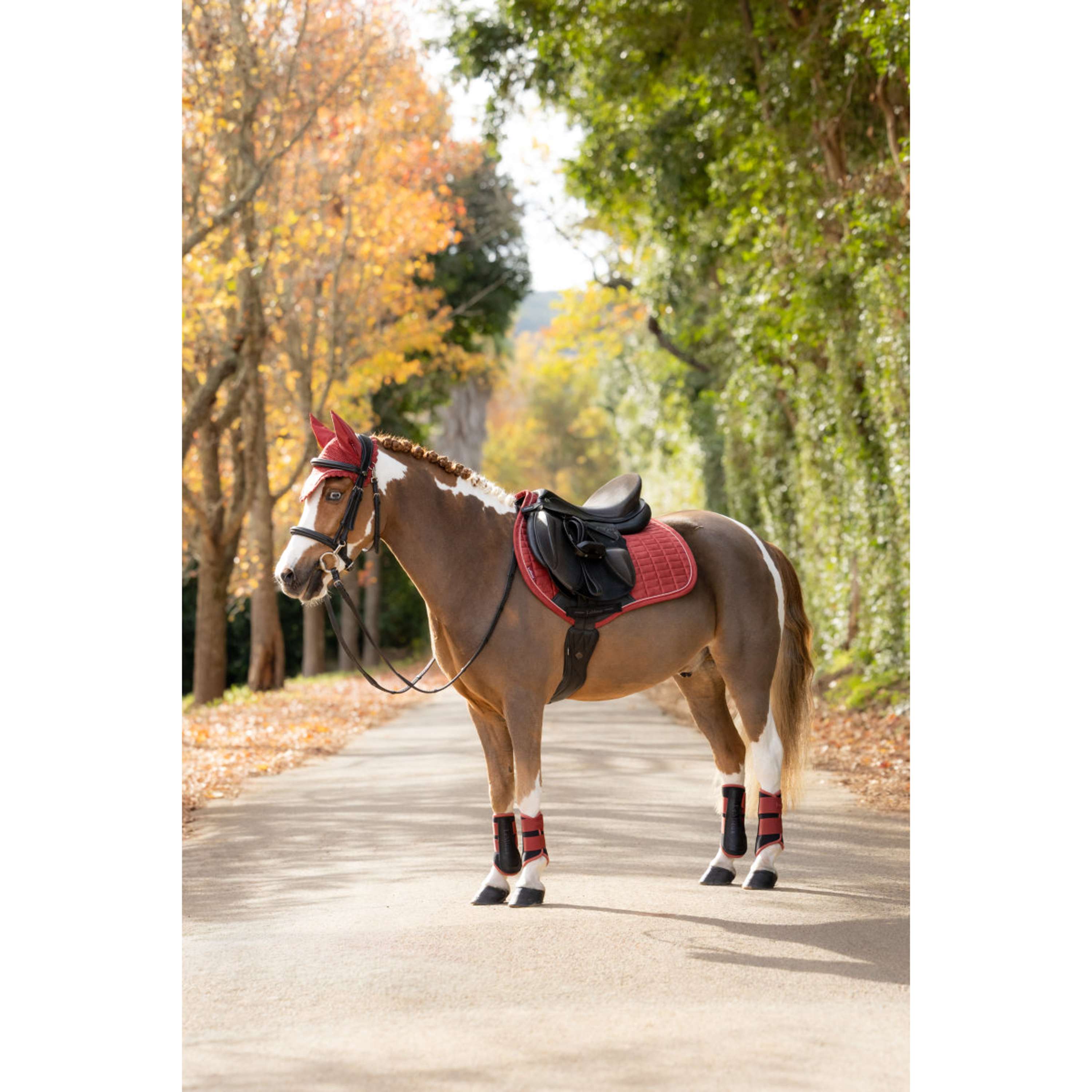 LeMieux Saddlepad Suede Close Contact Square Jumping Russet