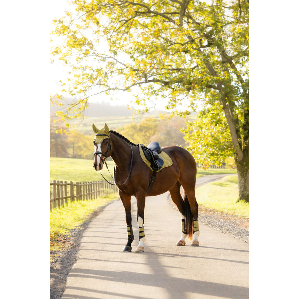 LeMieux Saddlepad Suede Close Contact Square Jumping Gooseberry