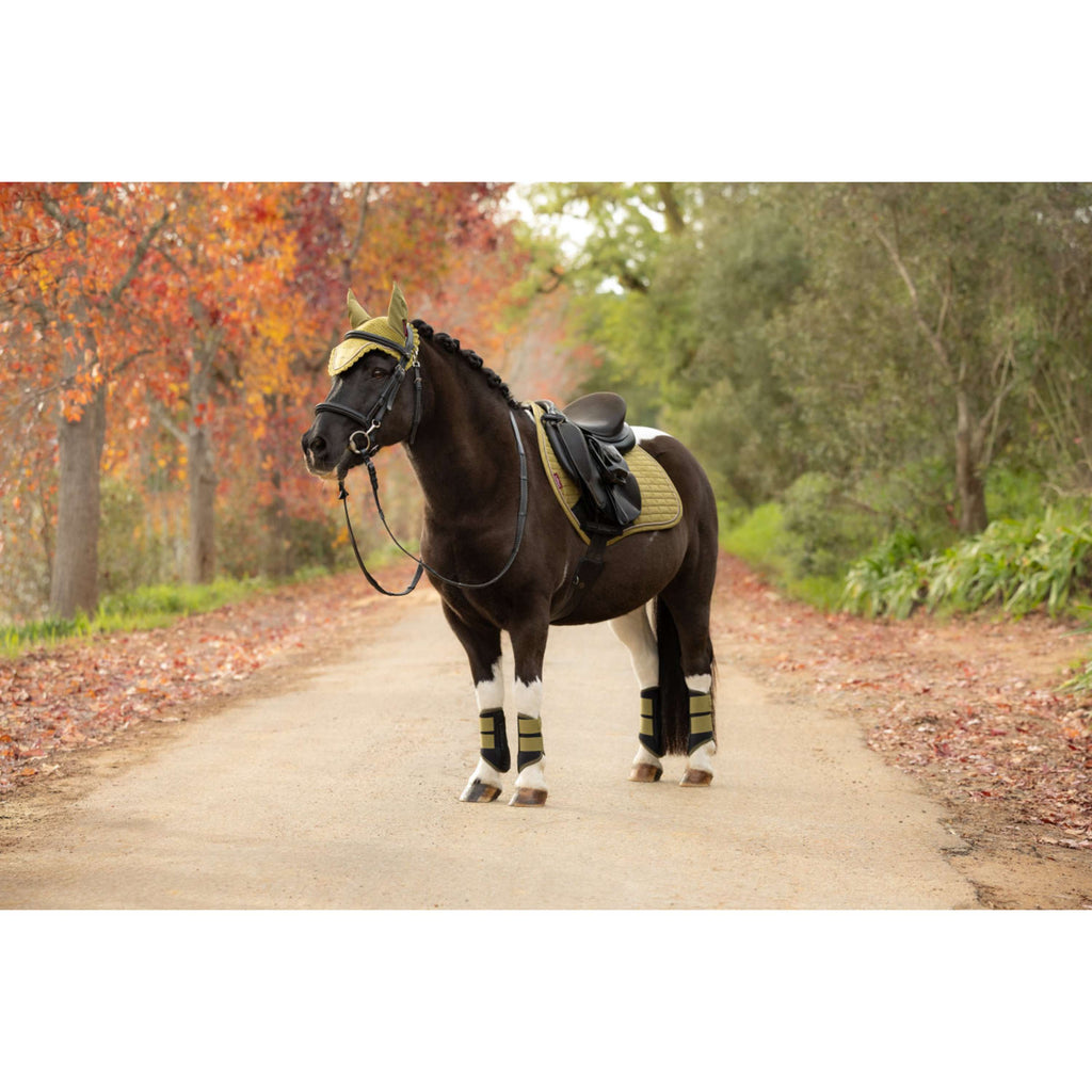 LeMieux Saddlepad Suede Close Contact Square Jumping Gooseberry
