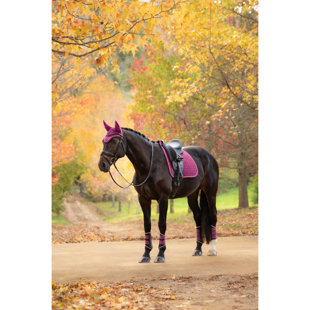 LeMieux Saddlepad Suede Square Dressage Blackberry