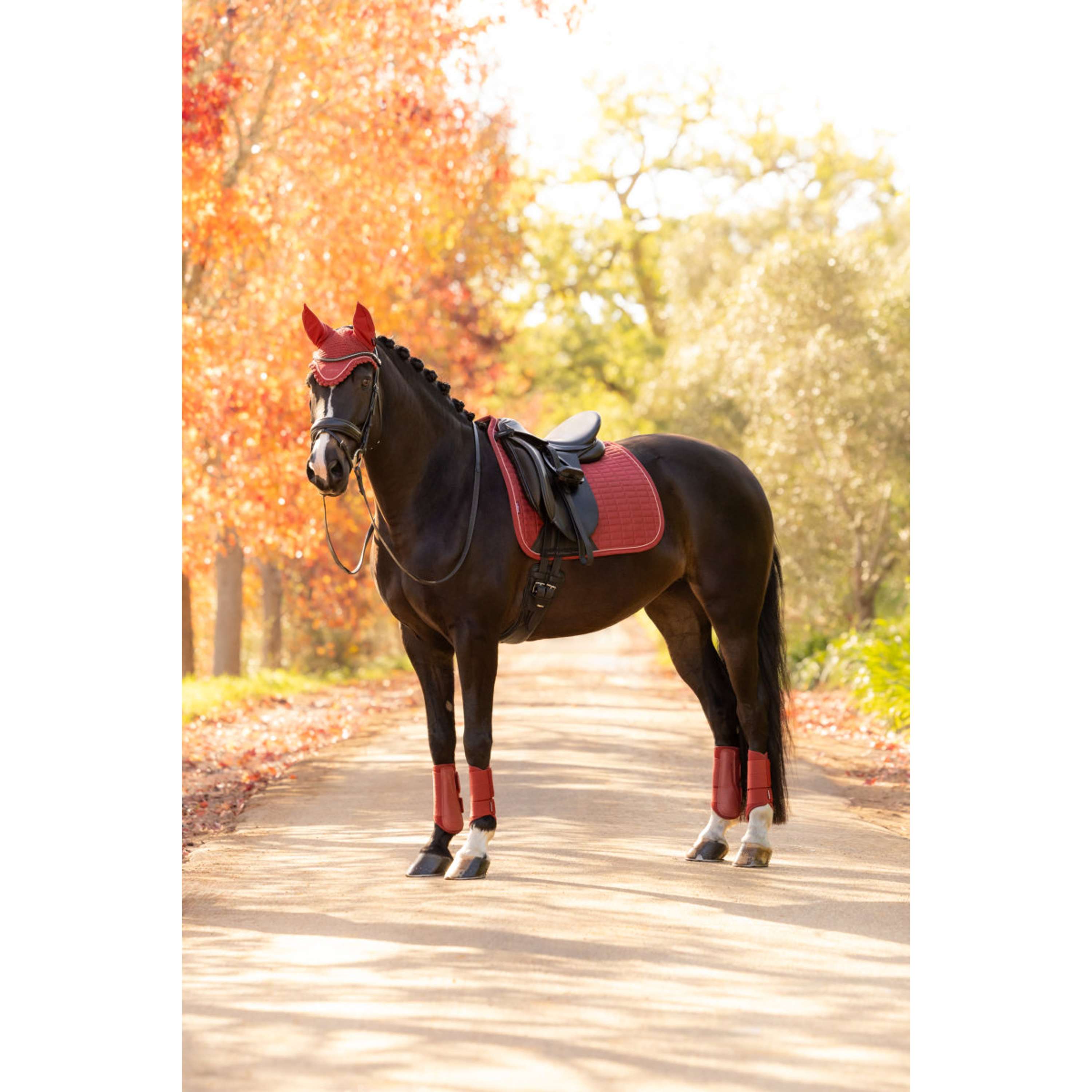 LeMieux Saddlepad Suede Square Dressage Russet