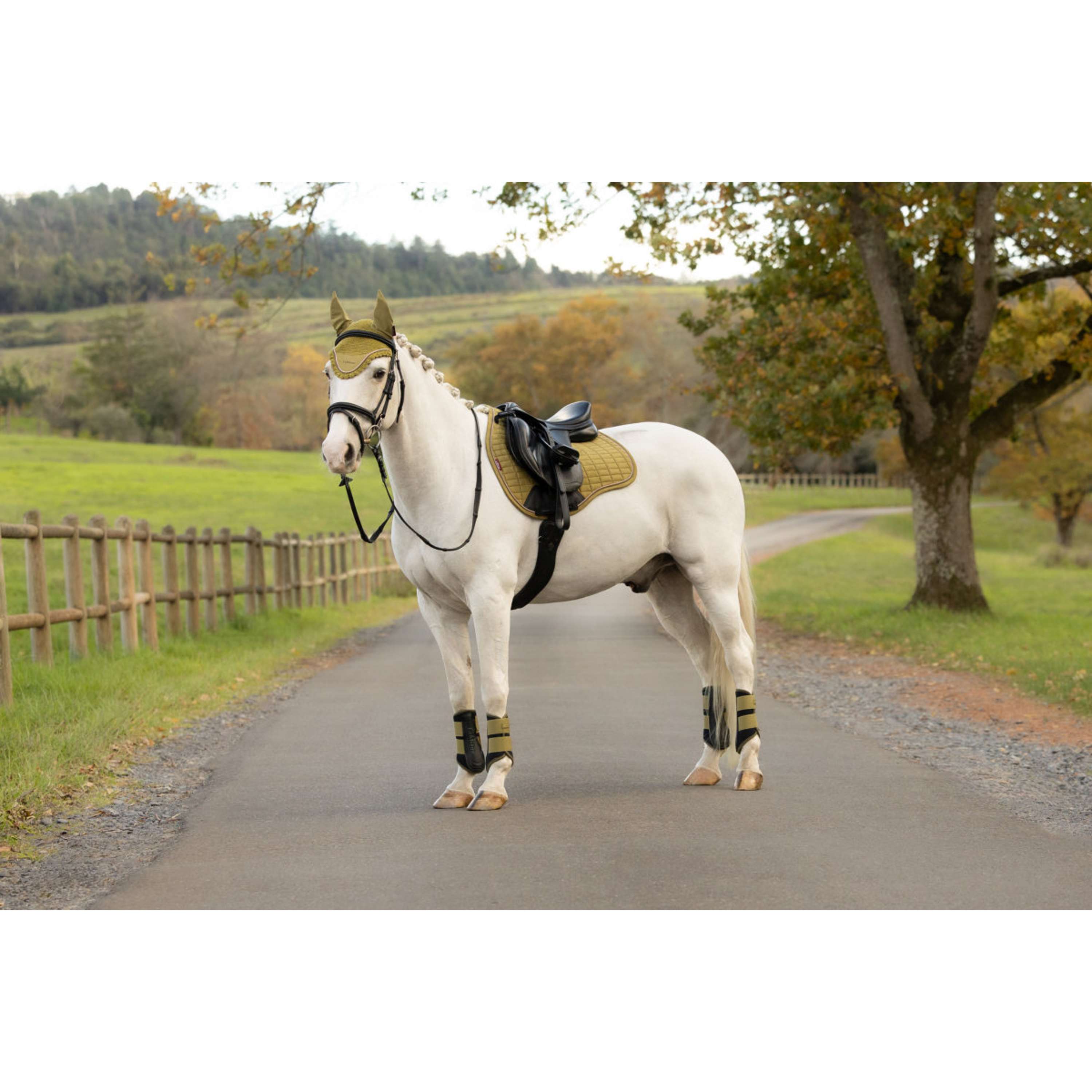 LeMieux Saddlepad Suede Square All Purpose Gooseberry